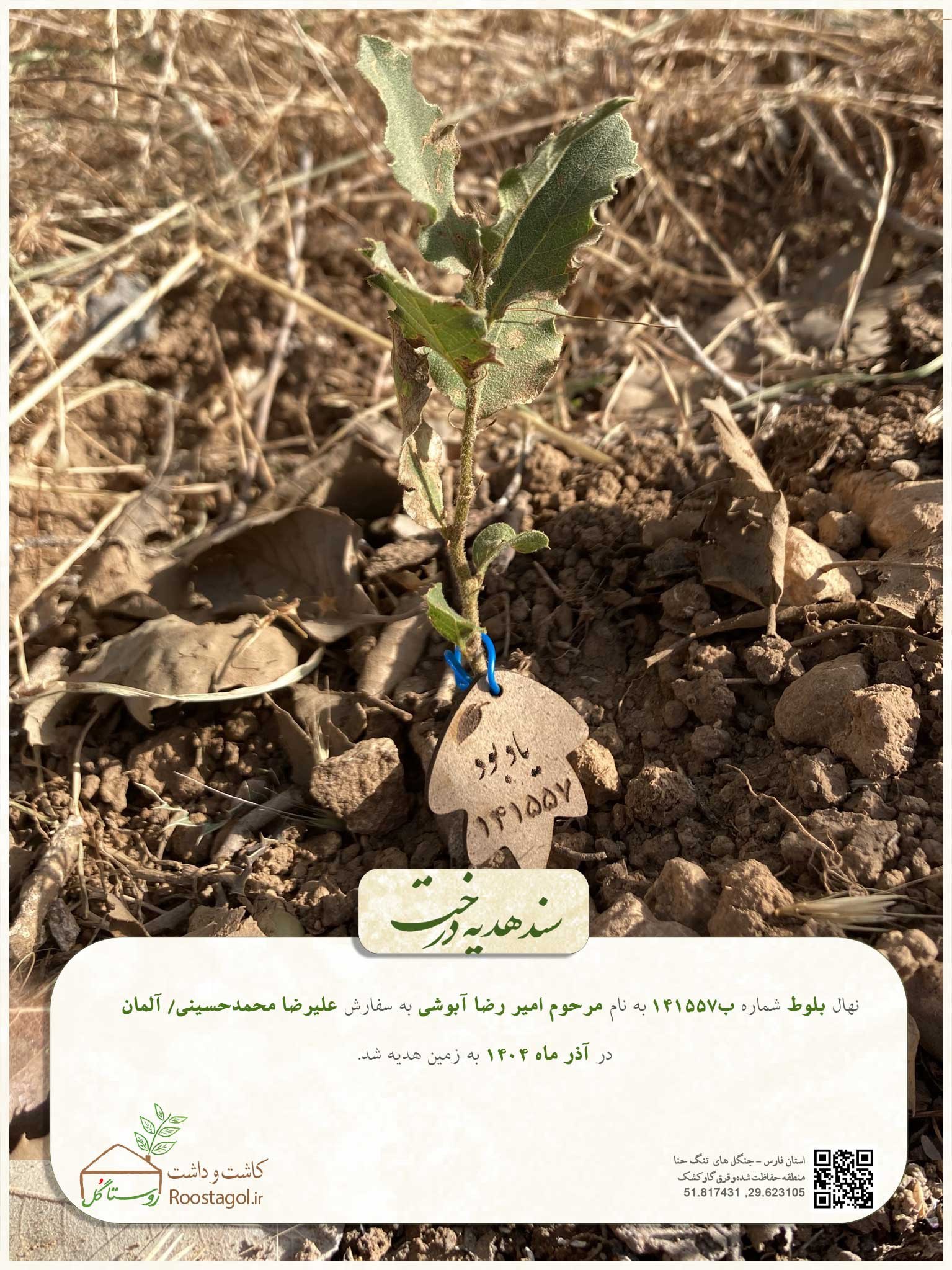 مرحوم امیر رضا آبوشی