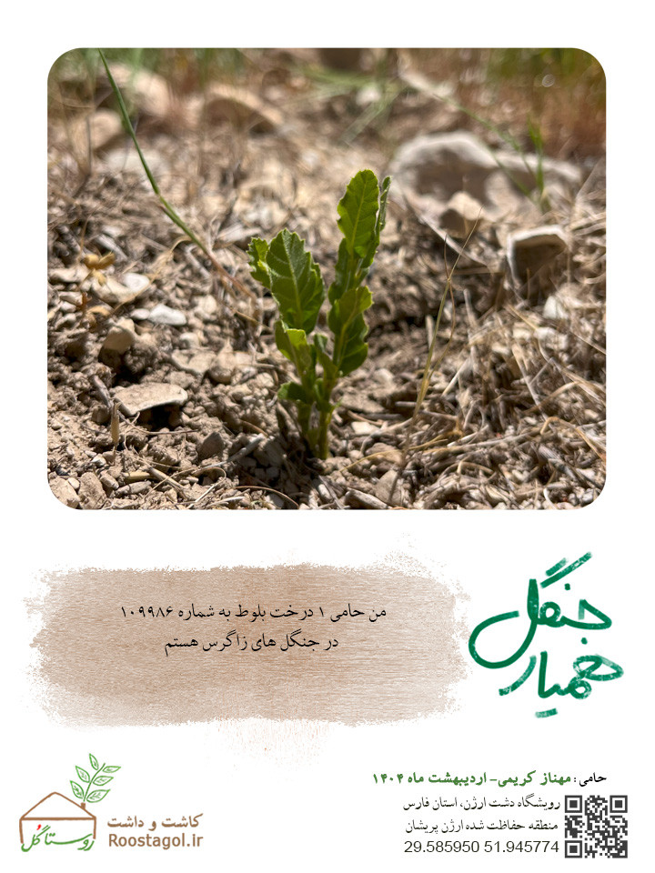 مهنازکریمی