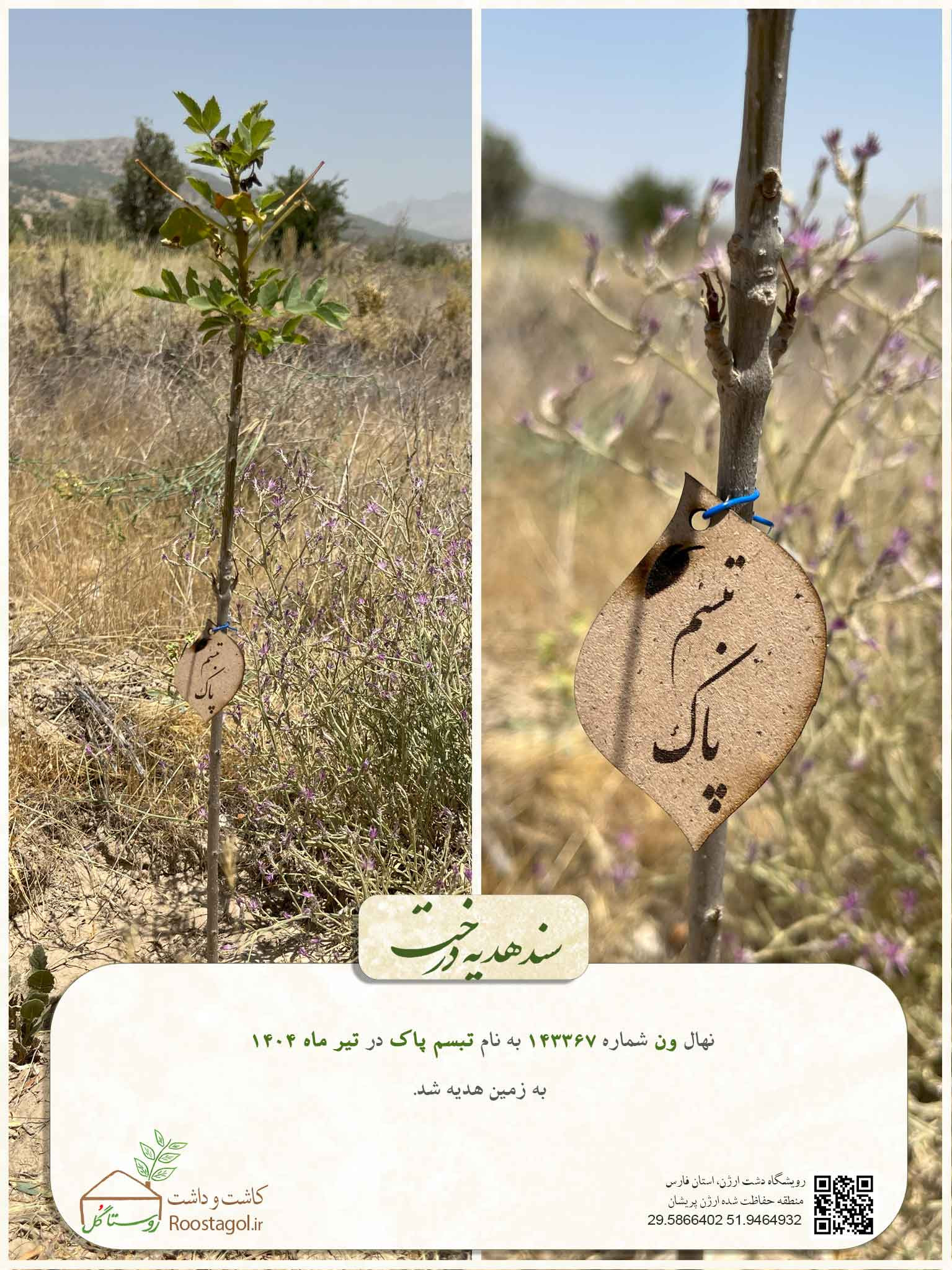 تبسم پاک