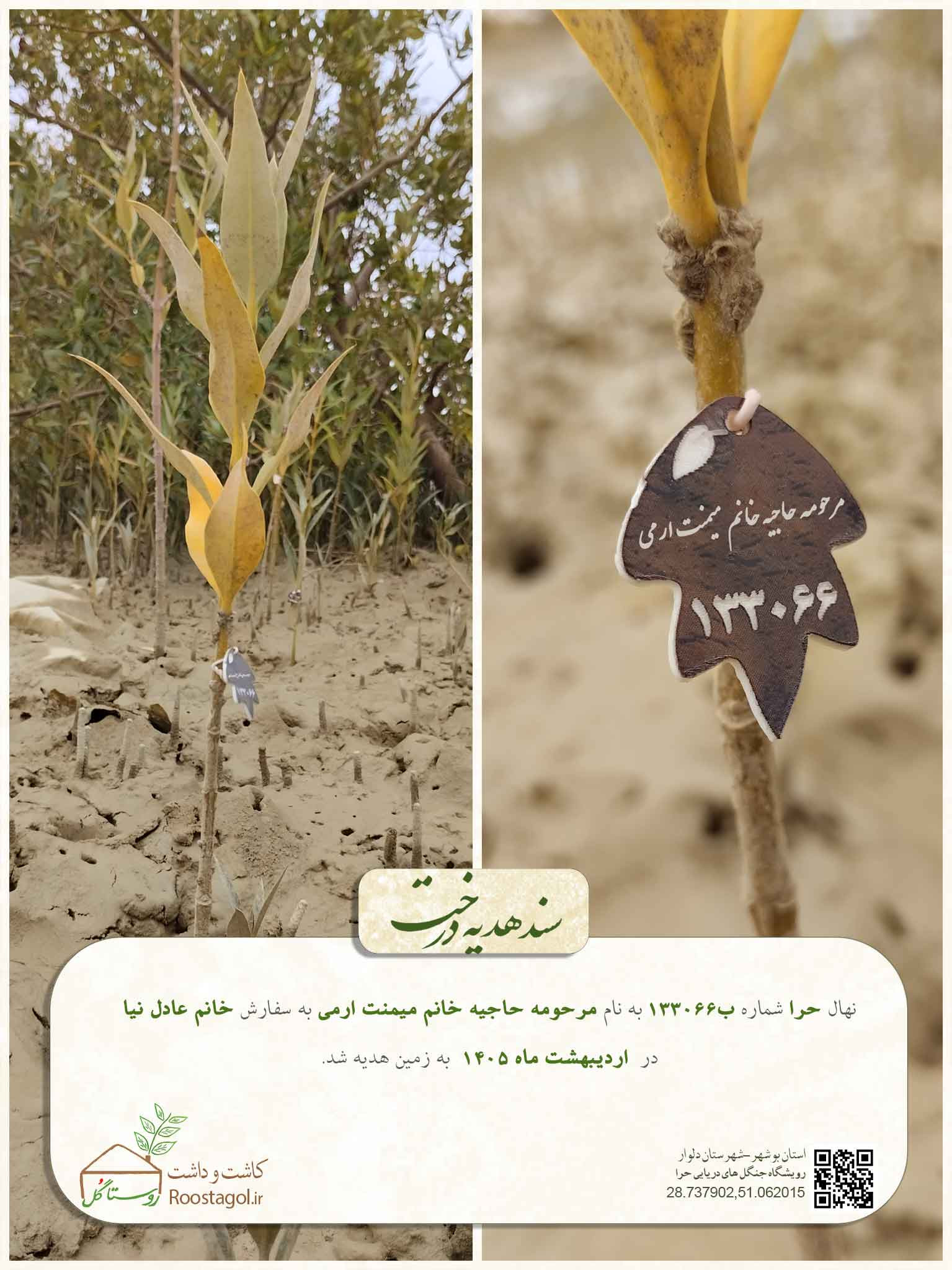 مرحومه حاجیه خانم میمنت ارمی