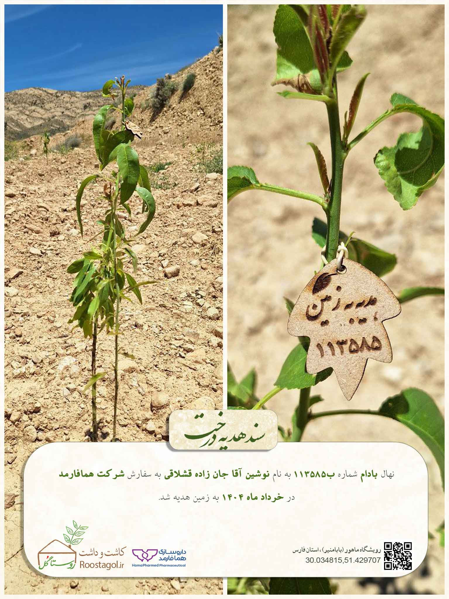 نوشین آقا جان زاده قشلاقی