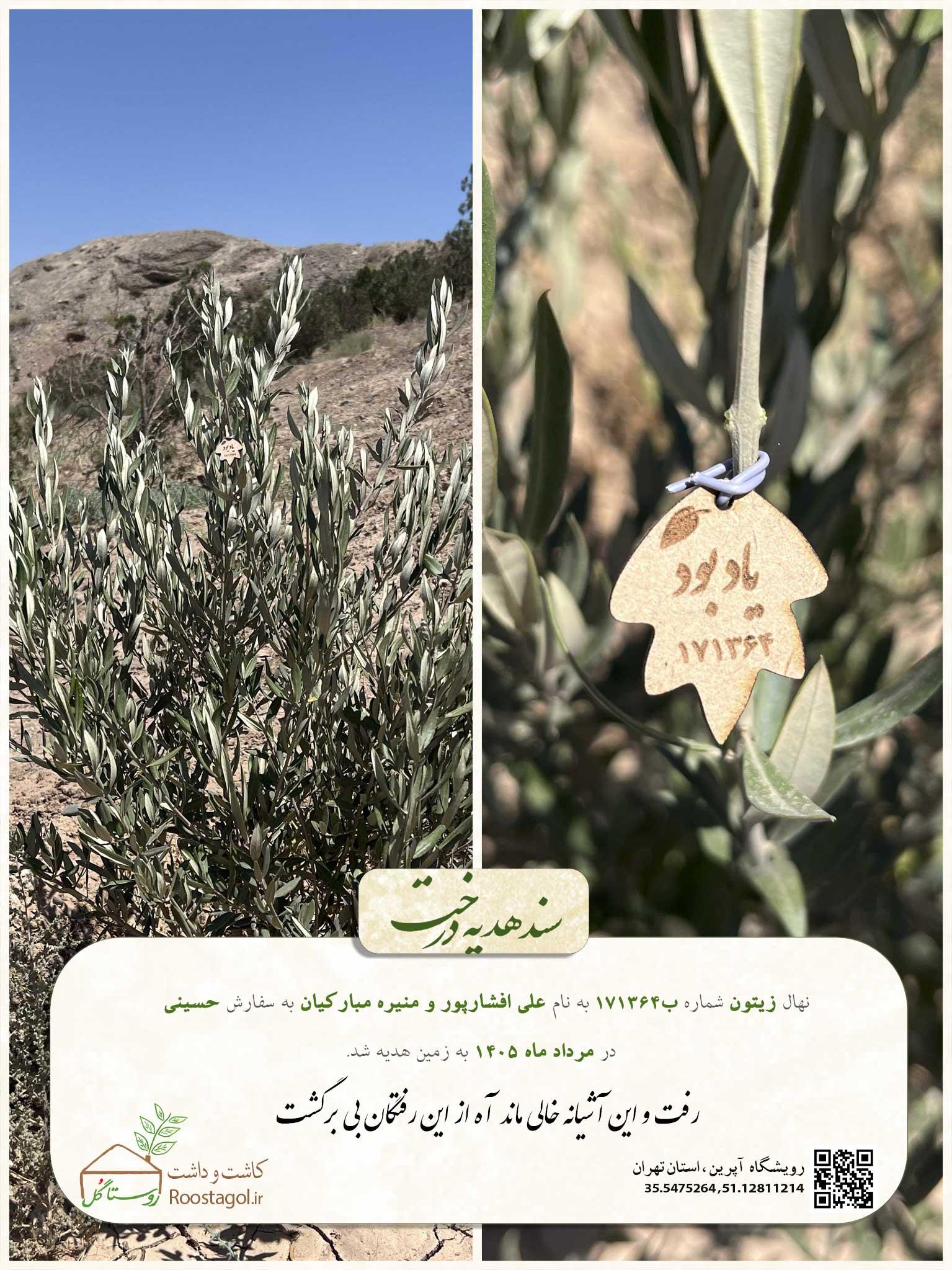 علی افشارپور و منیره مبارکیان