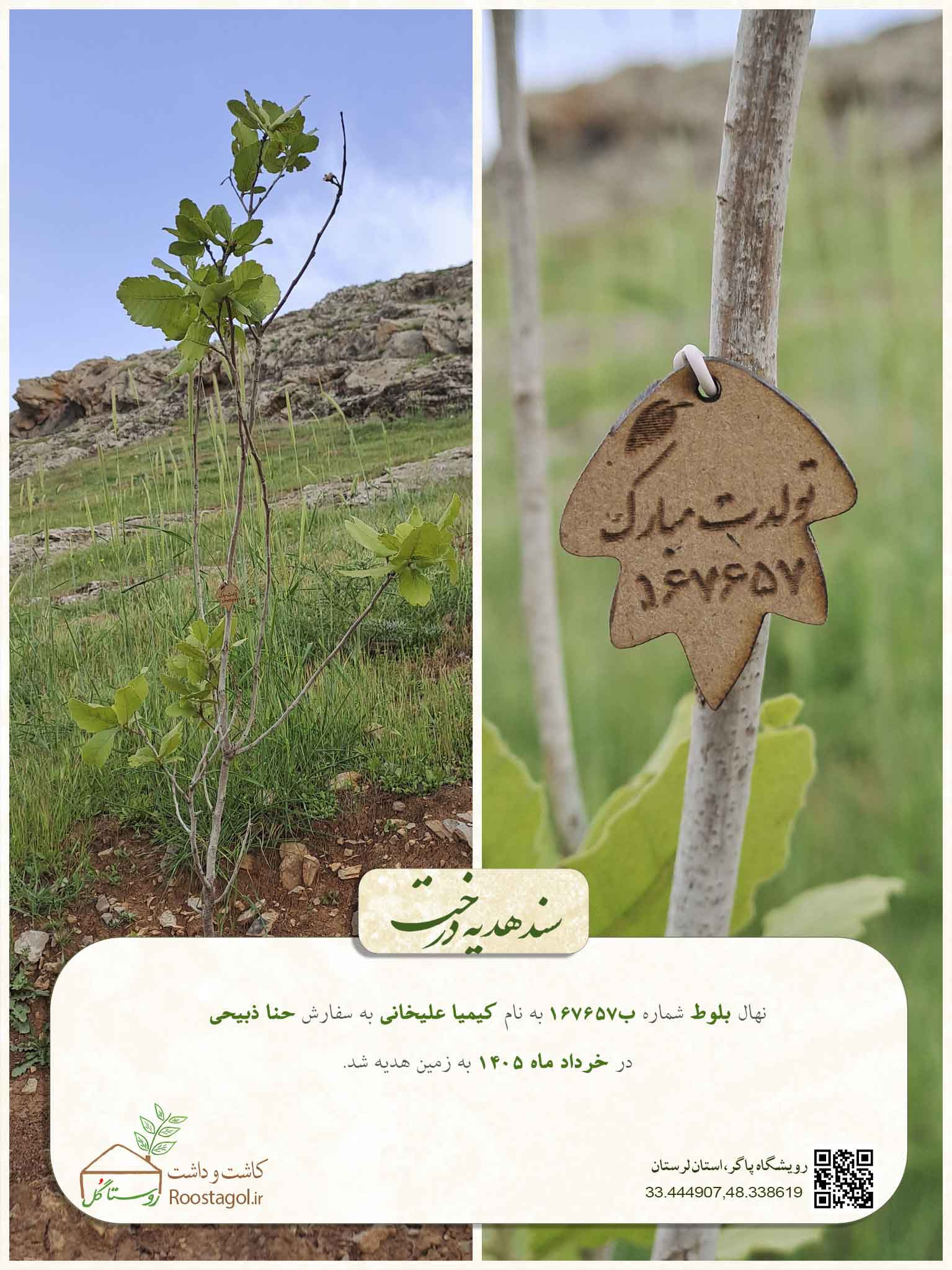 کیمیا علیخانی