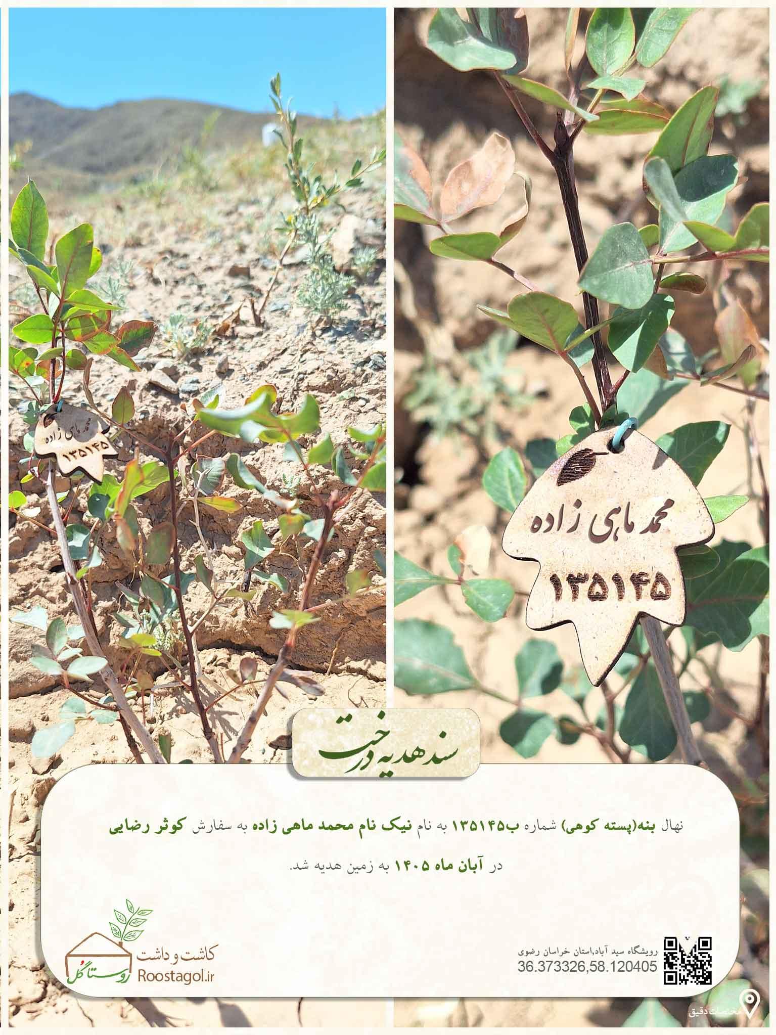 نیک نام محمد ماهی زاده