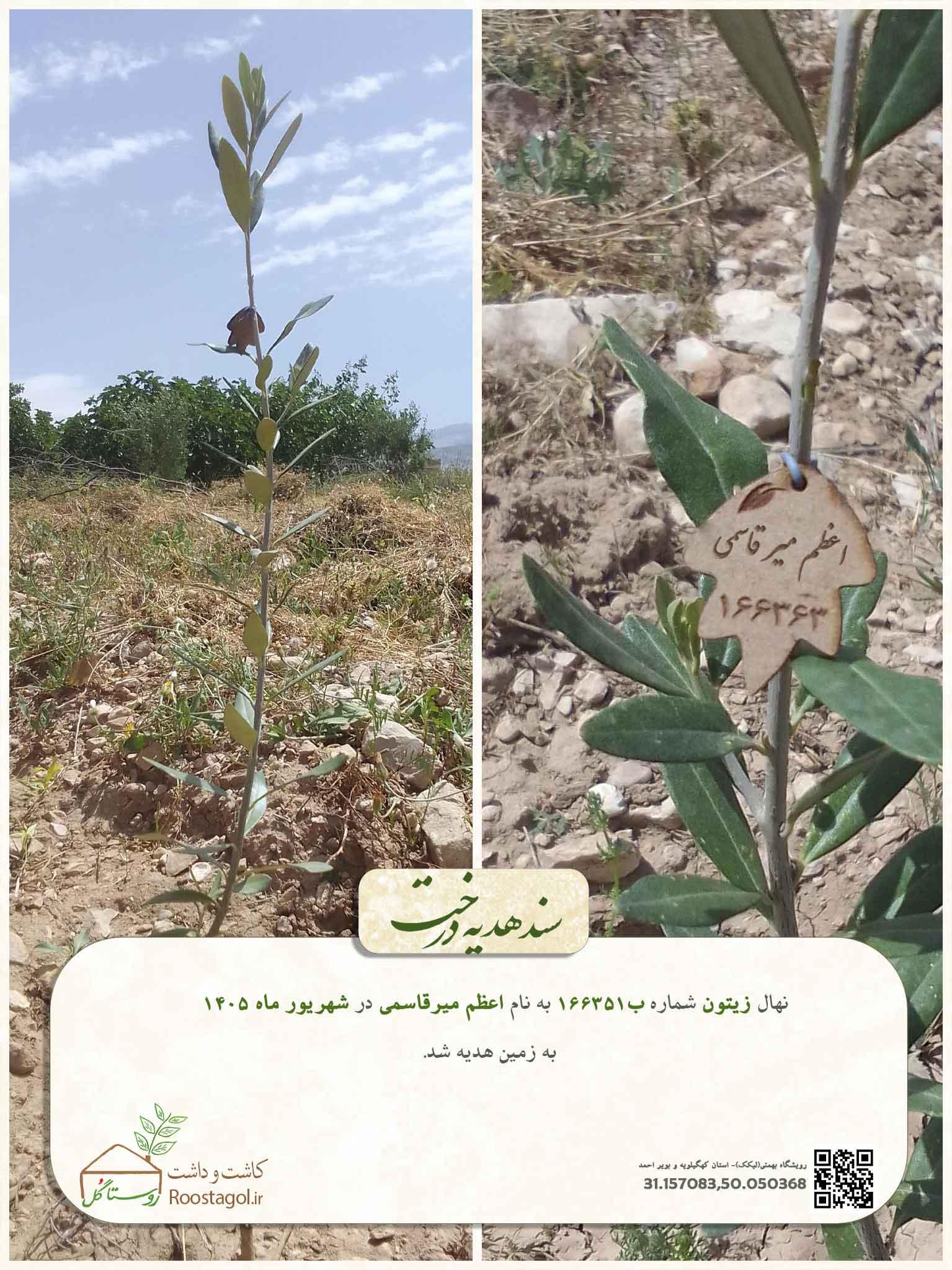 اعظم میر قاسمی
