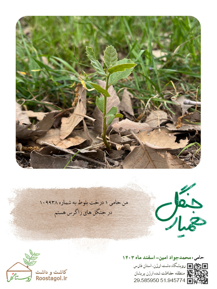سفارش درخت