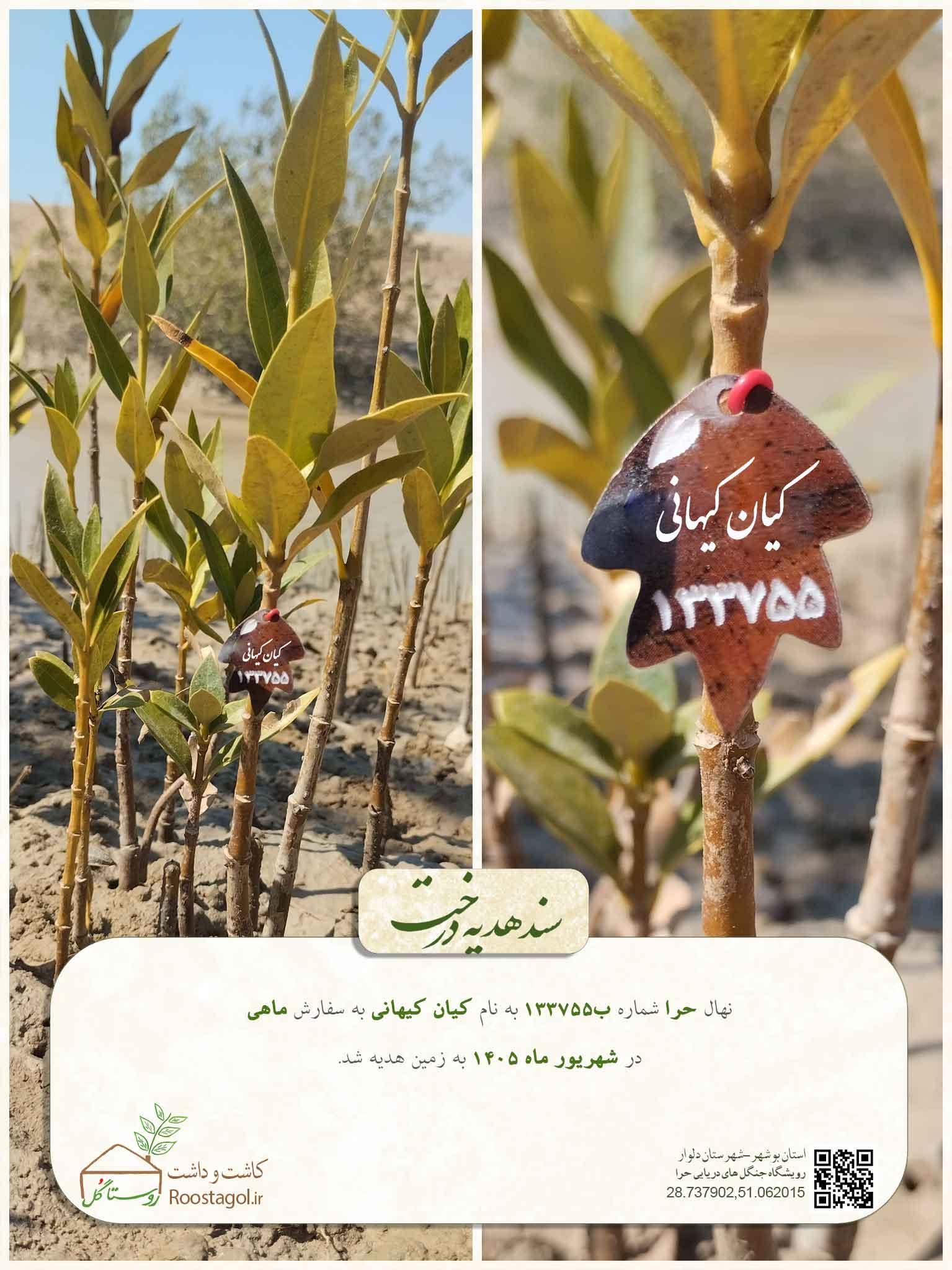 کیان کیهانی