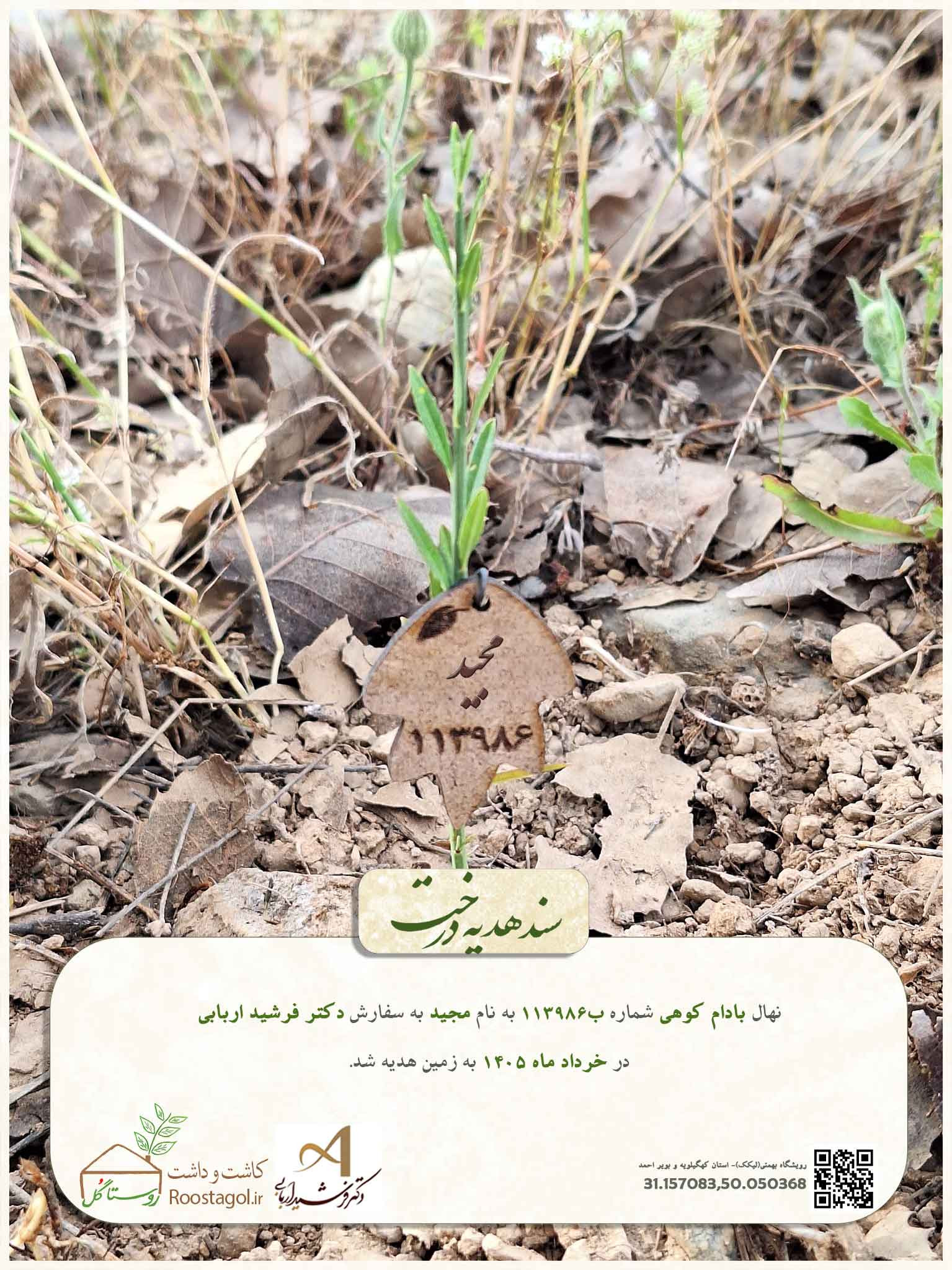 مجید