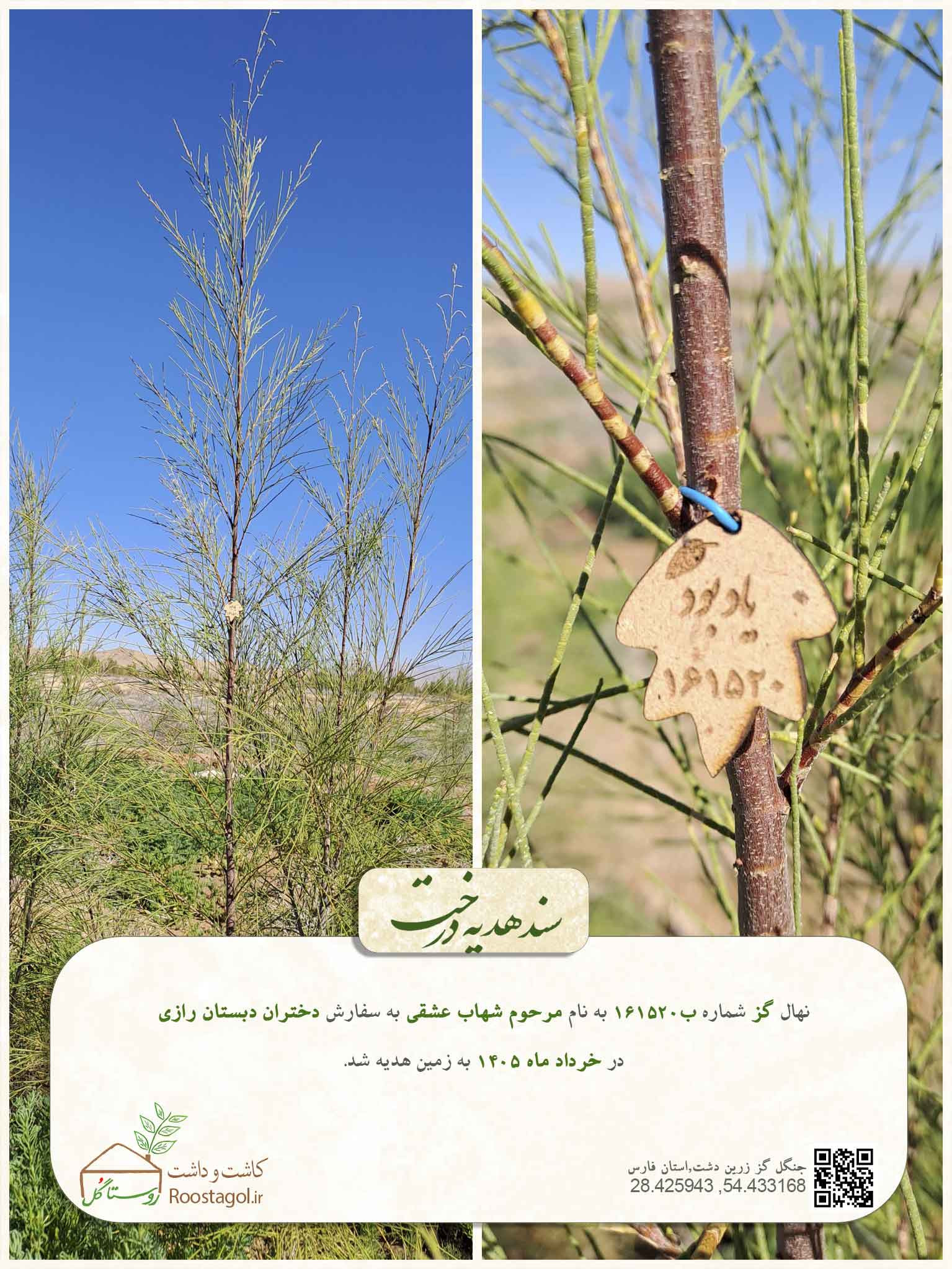 مرحوم شهاب عشقی