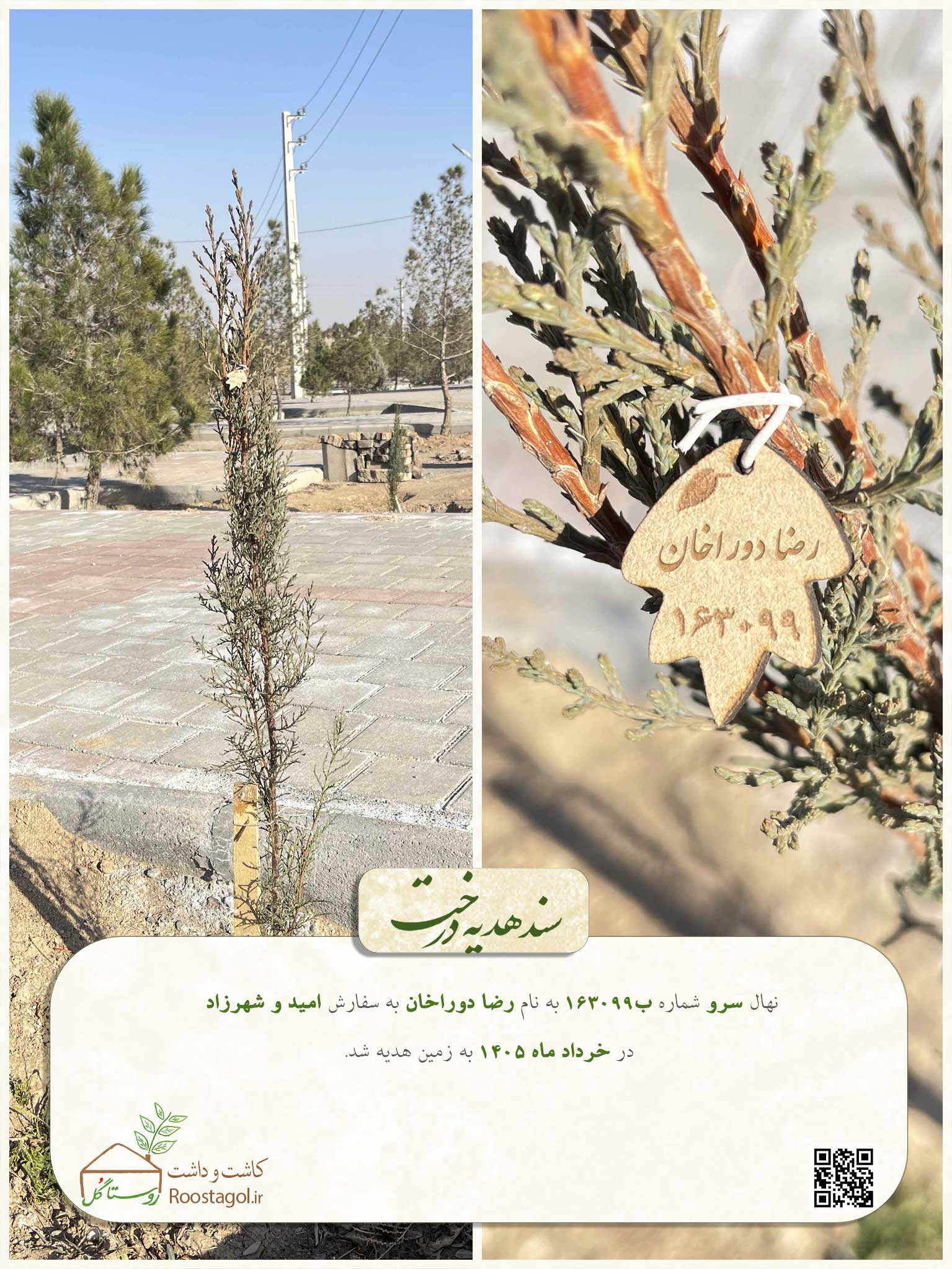 رضا دوراخان