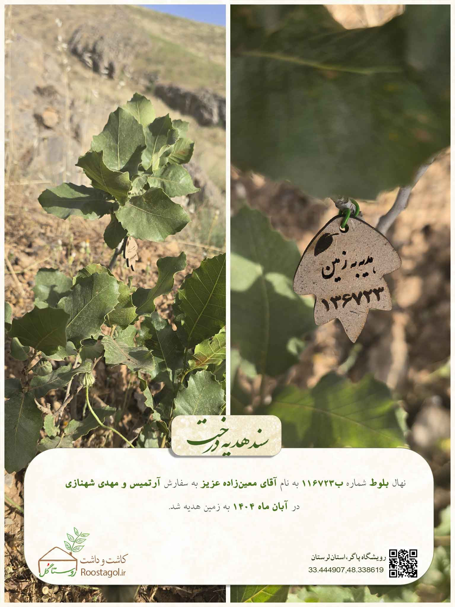 سفارش درخت
