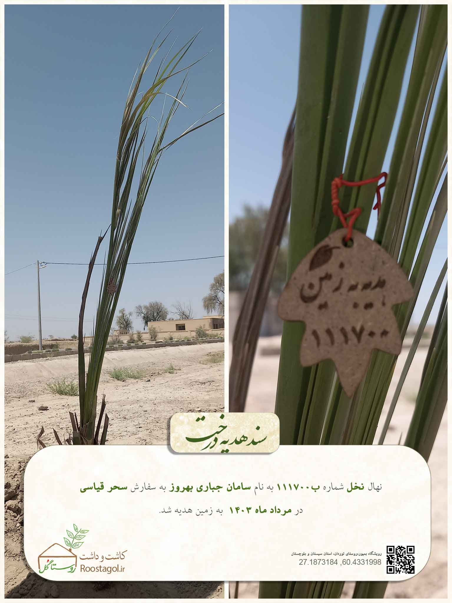 سفارش درخت
