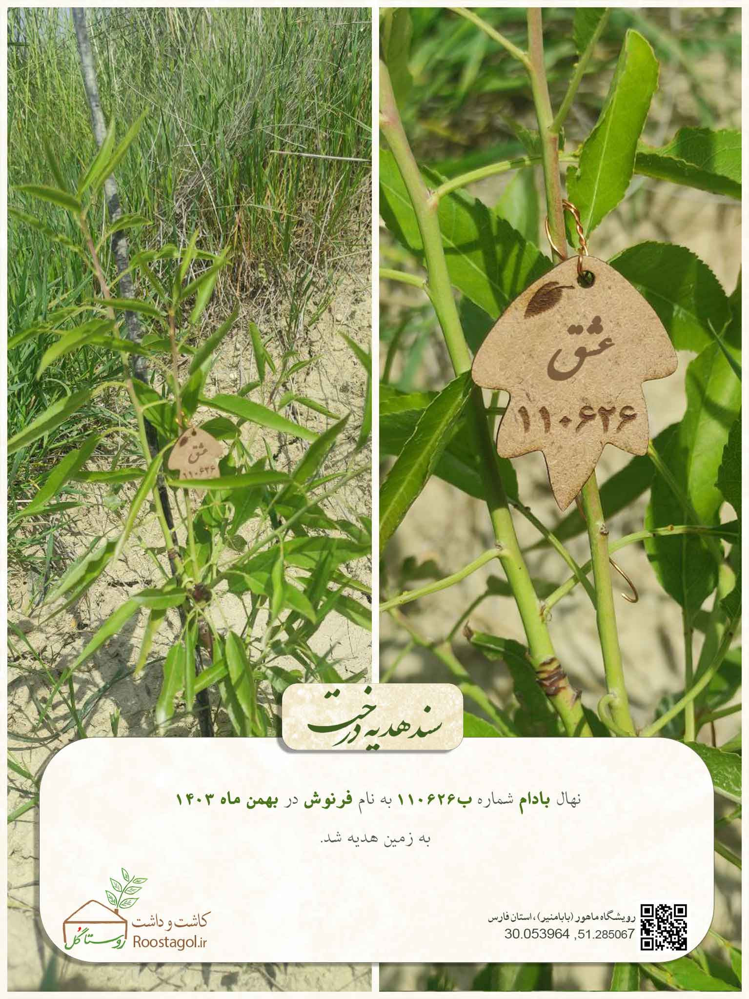 سفارش درخت