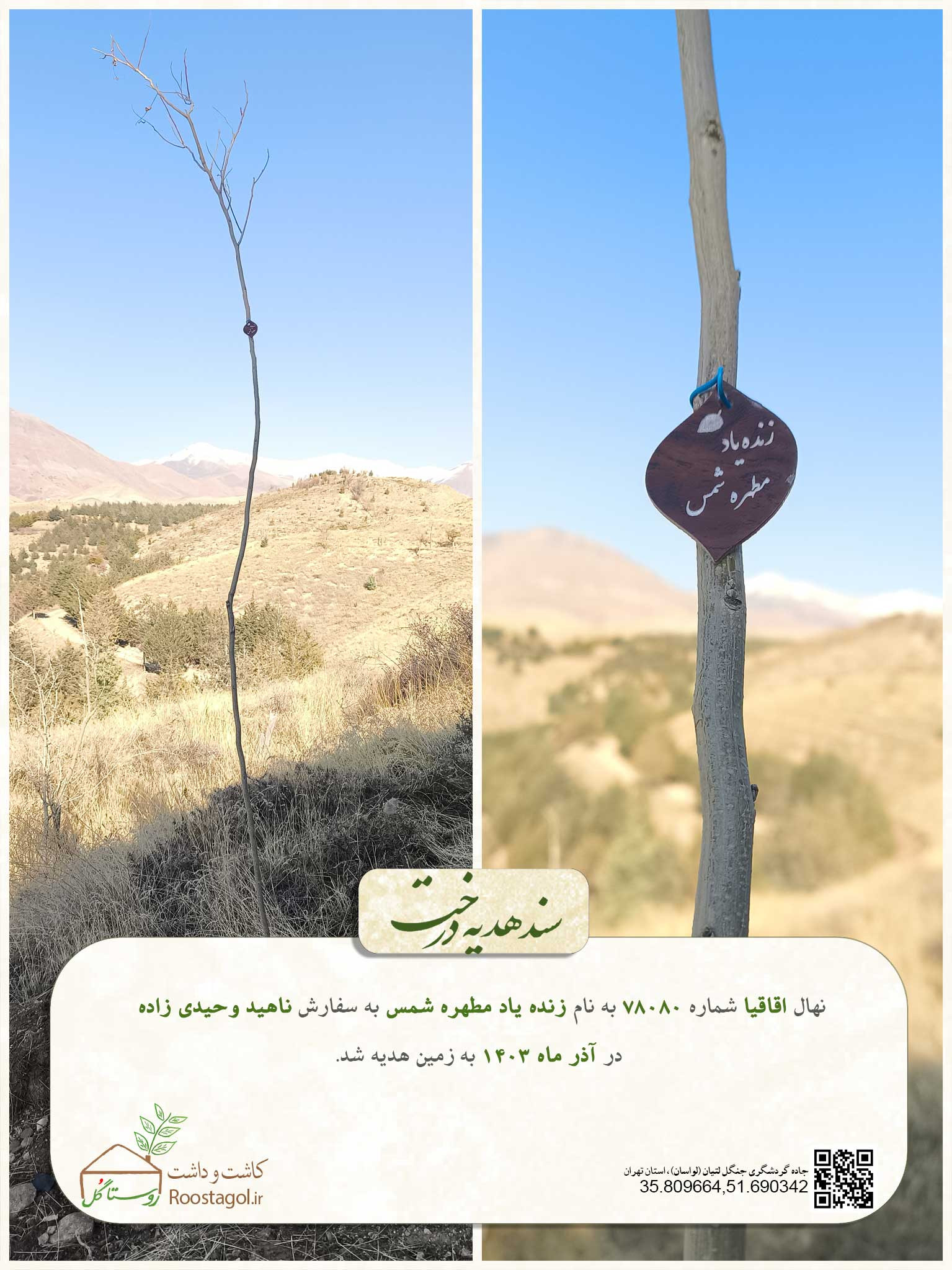 سفارش درخت