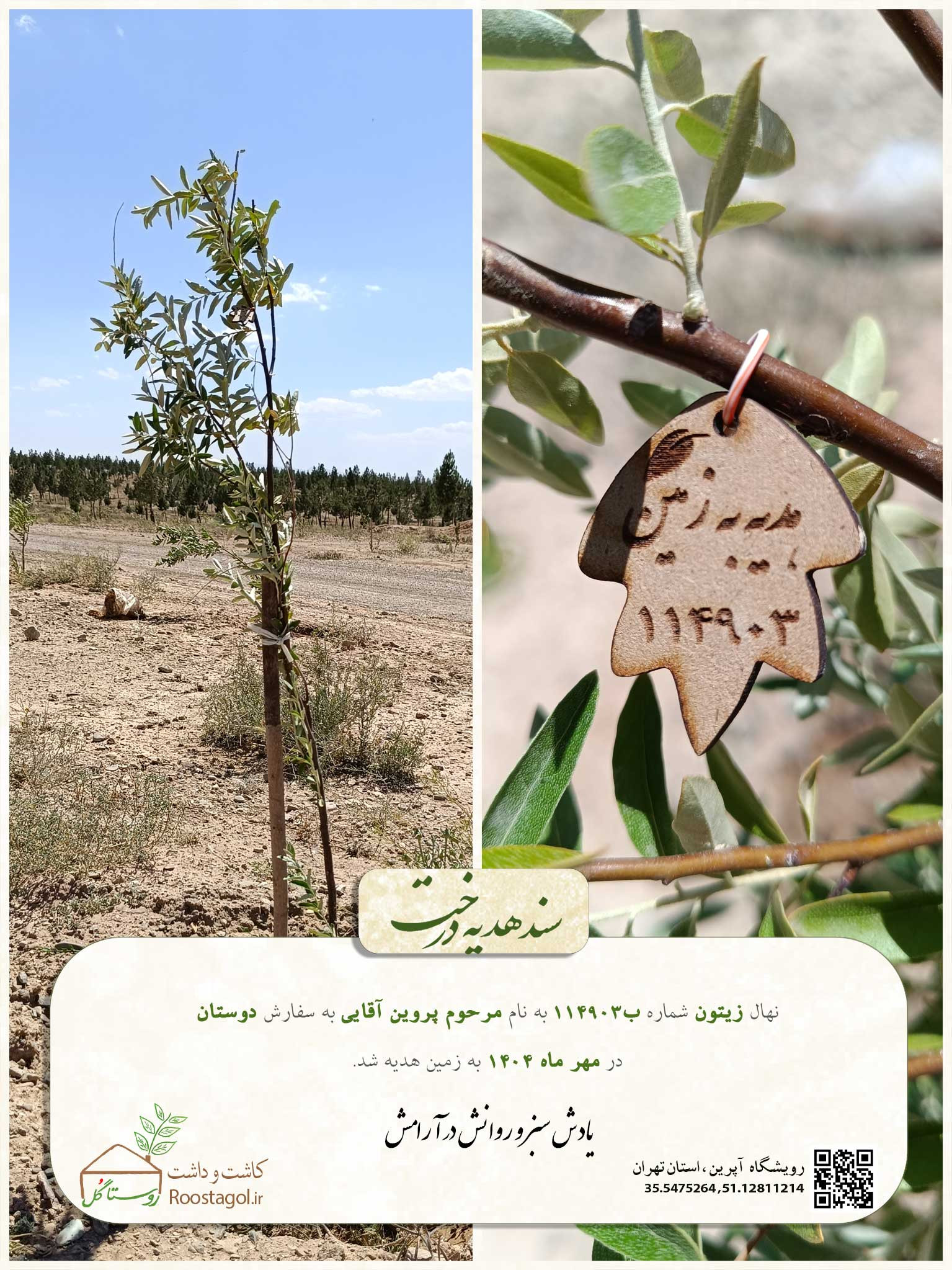سفارش درخت