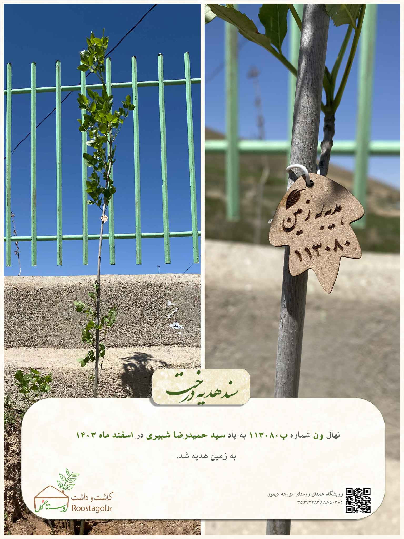 سفارش درخت