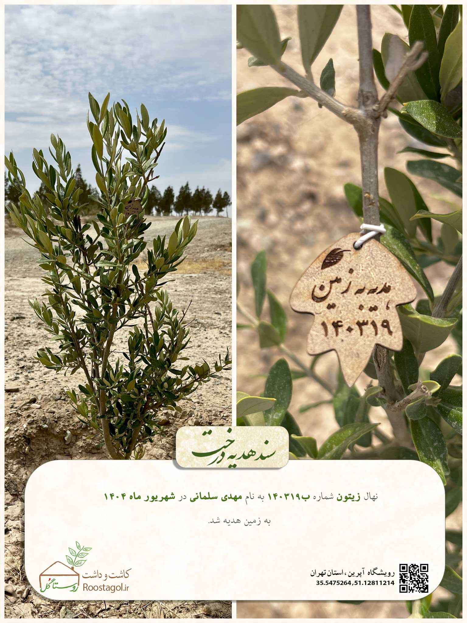 سفارش درخت