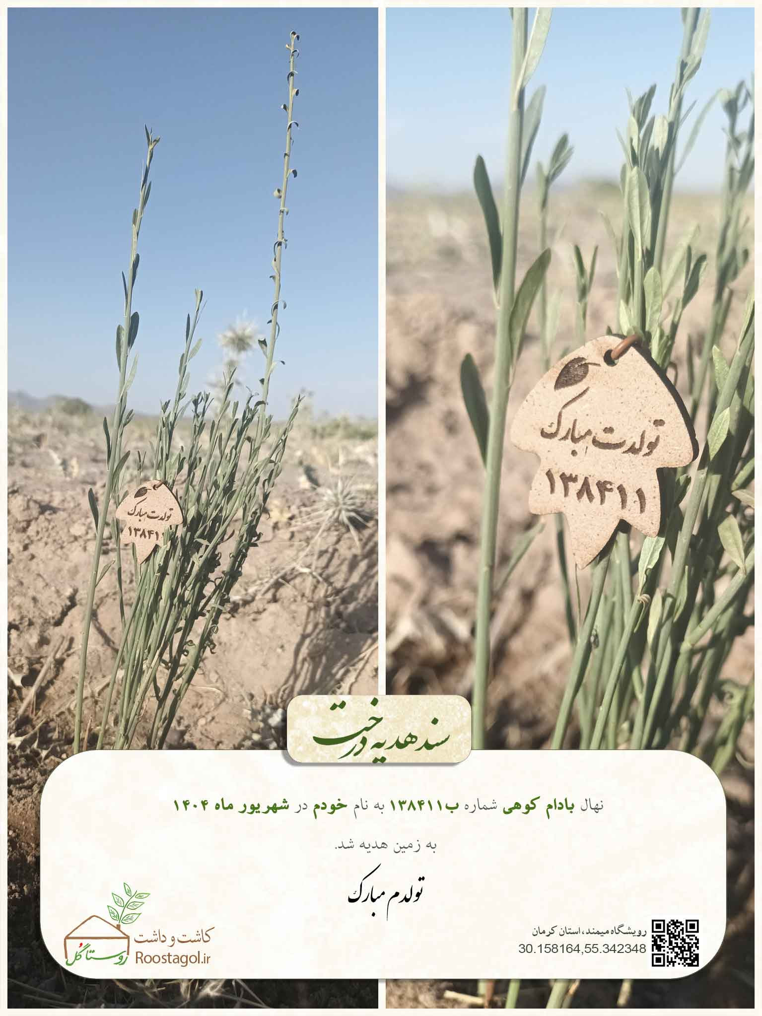 سفارش درخت