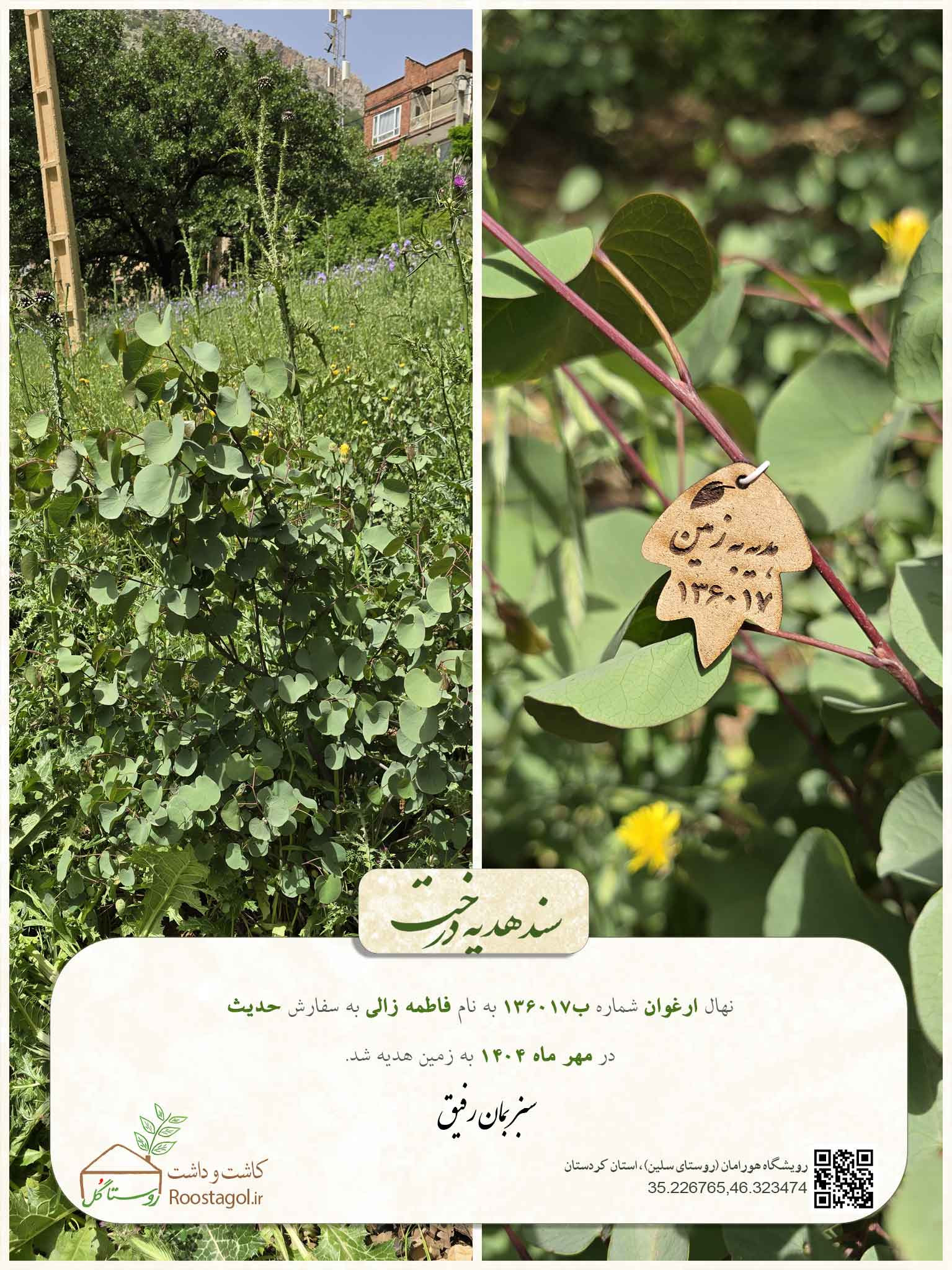 سفارش درخت