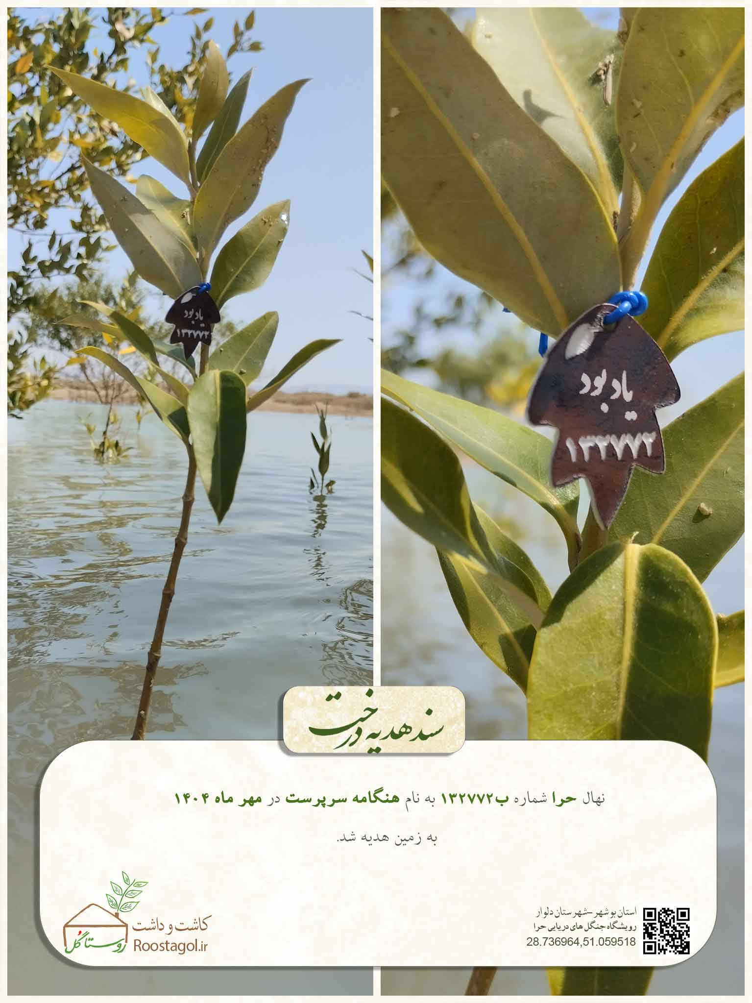 سفارش درخت