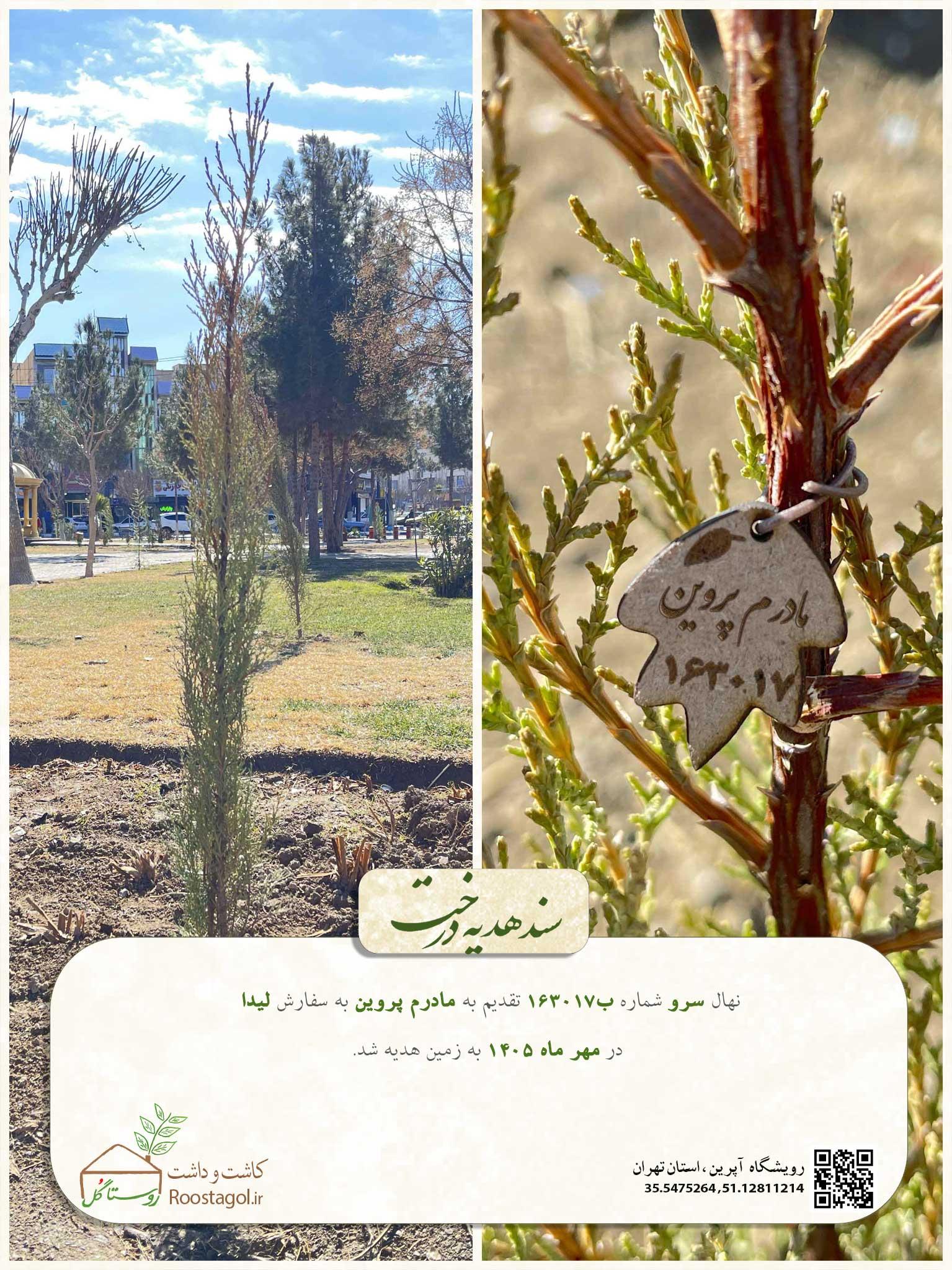 سفارش درخت