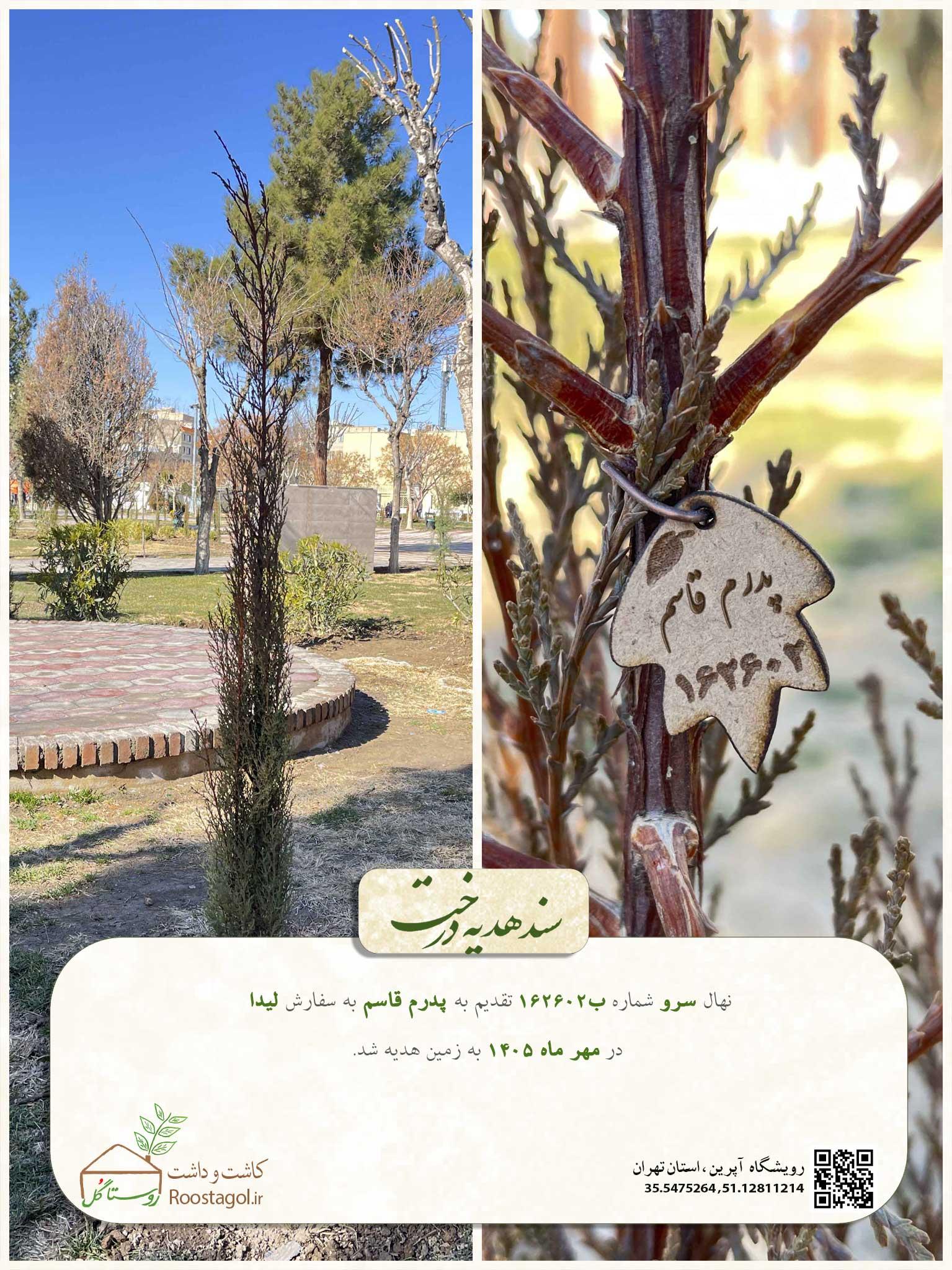 سفارش درخت