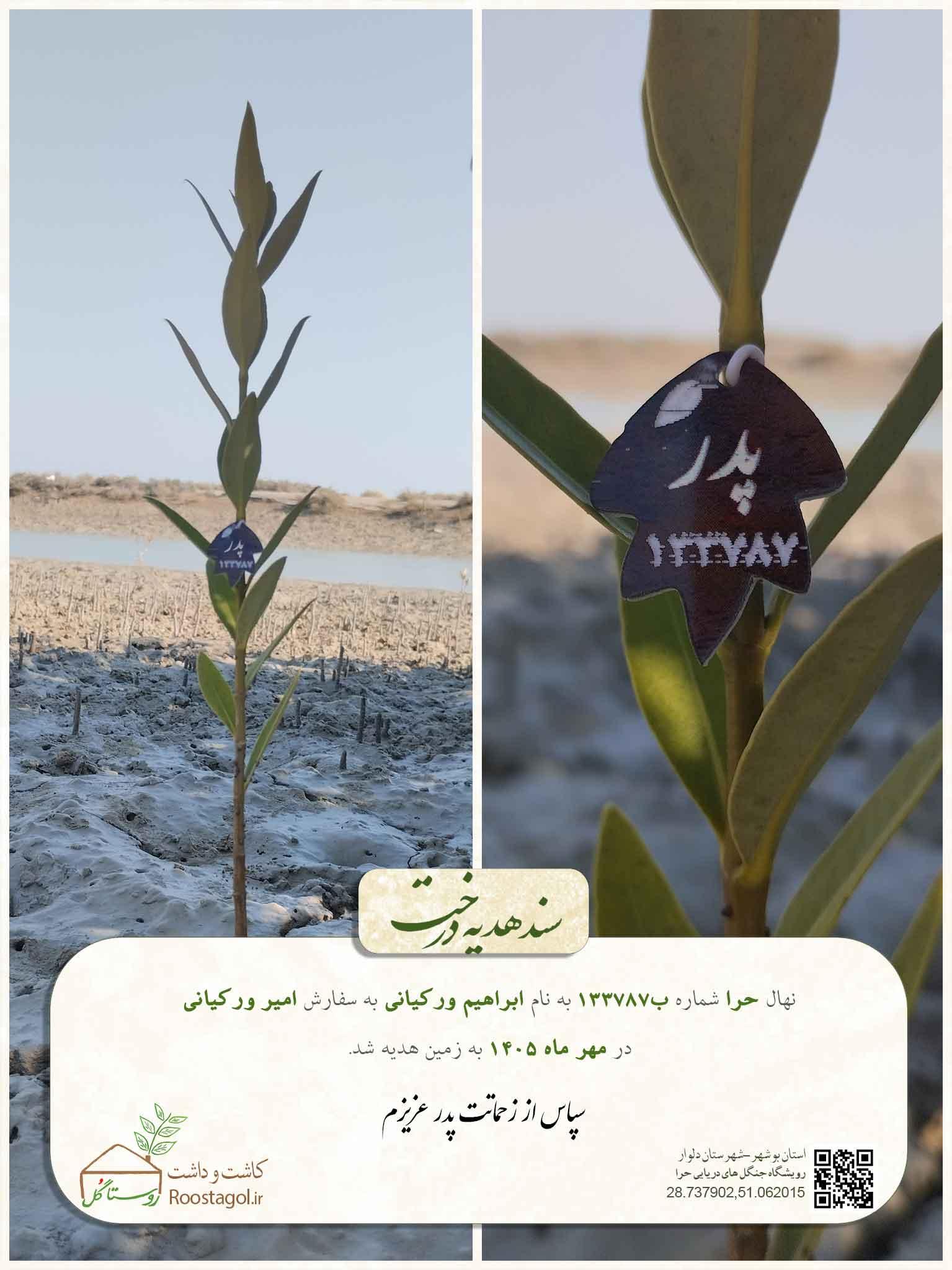 سفارش درخت