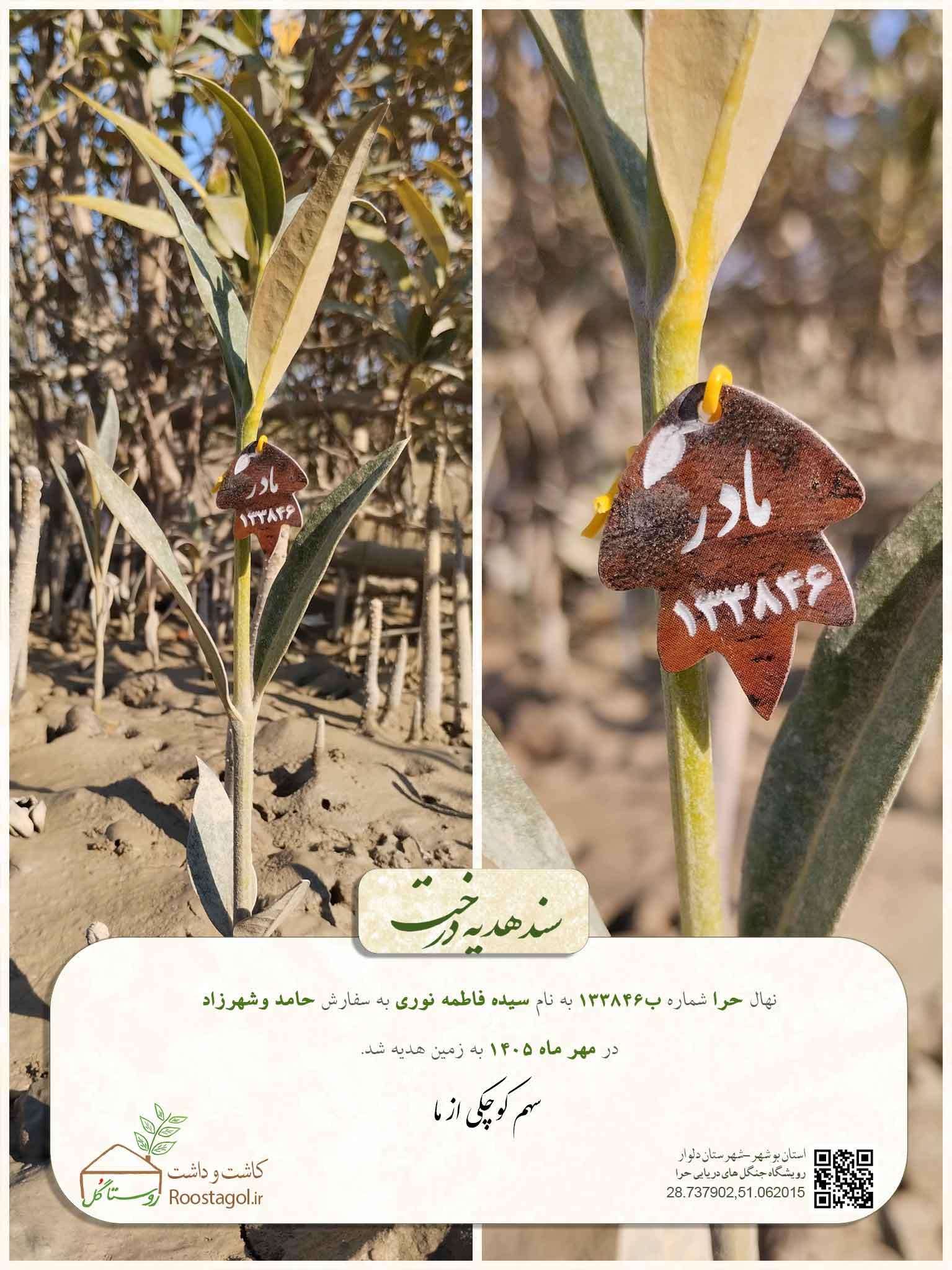 سفارش درخت