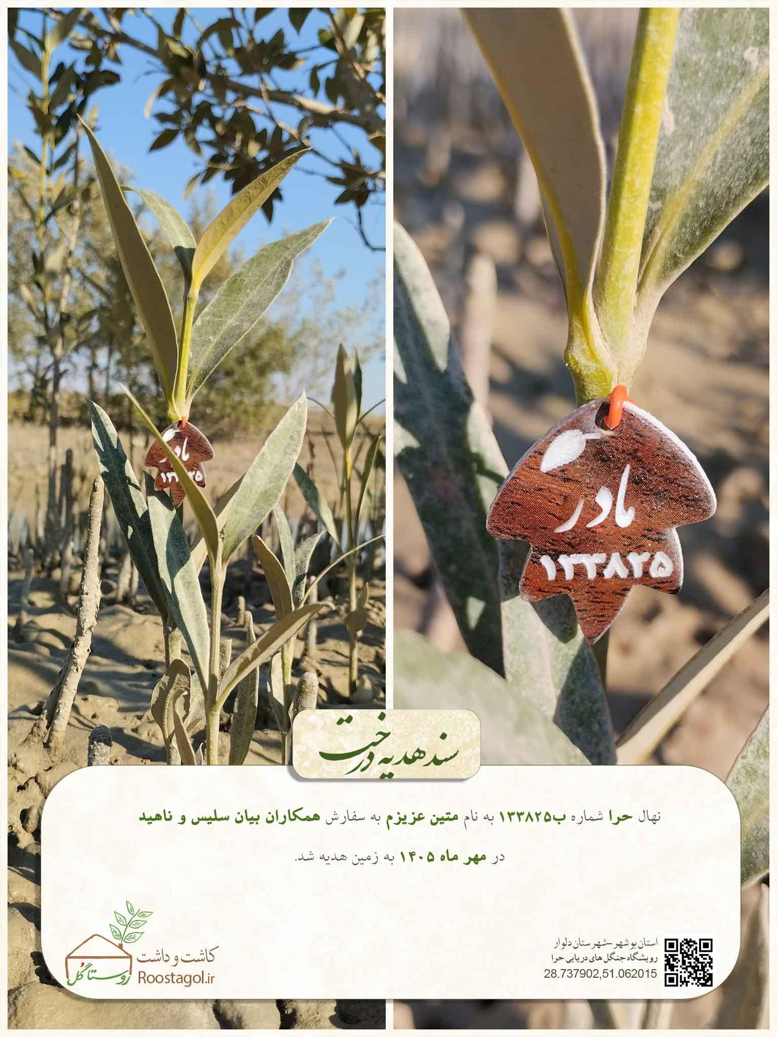 سفارش درخت