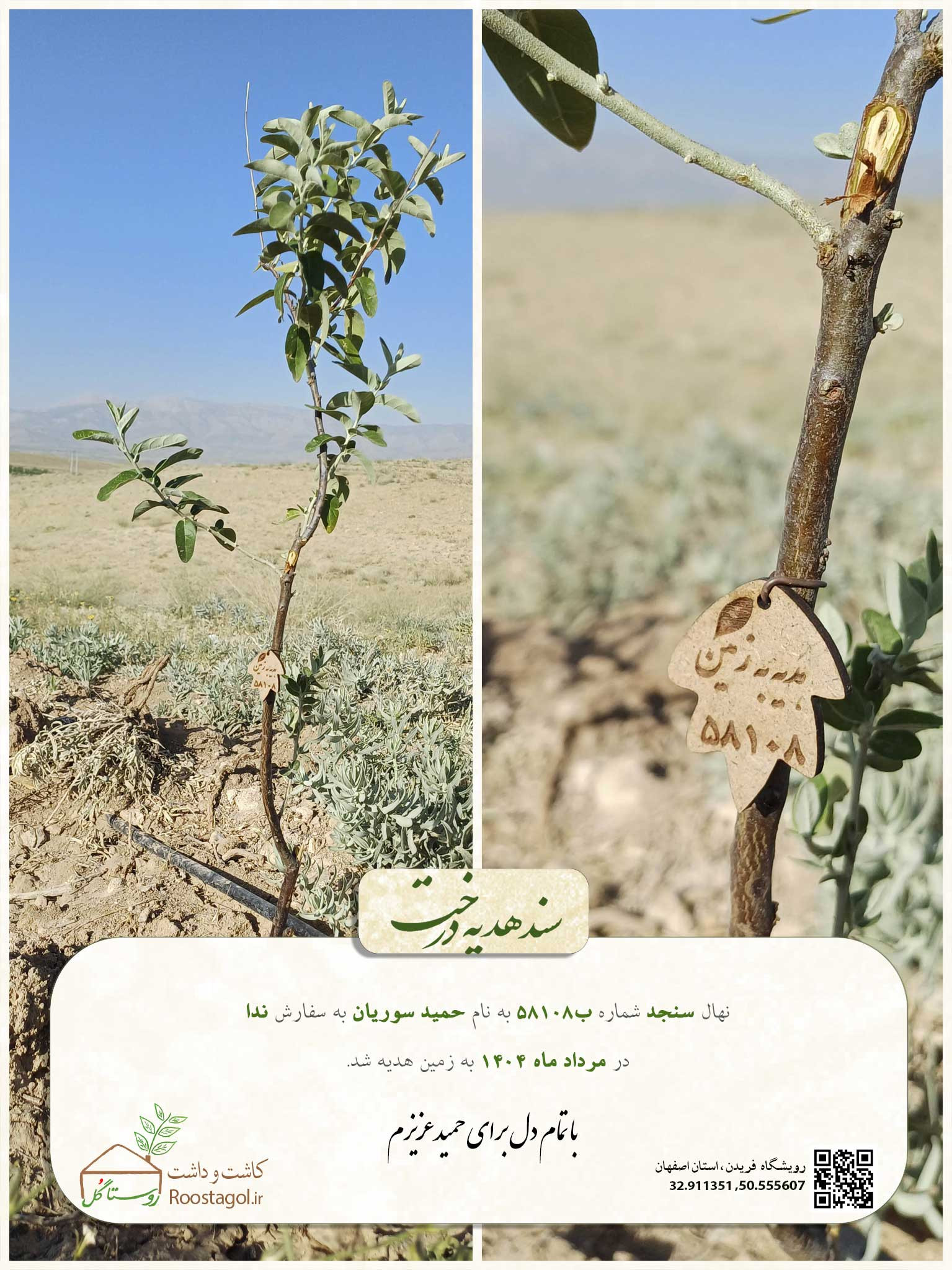 سفارش درخت