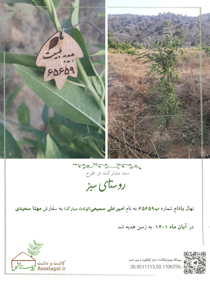 سفارش درخت