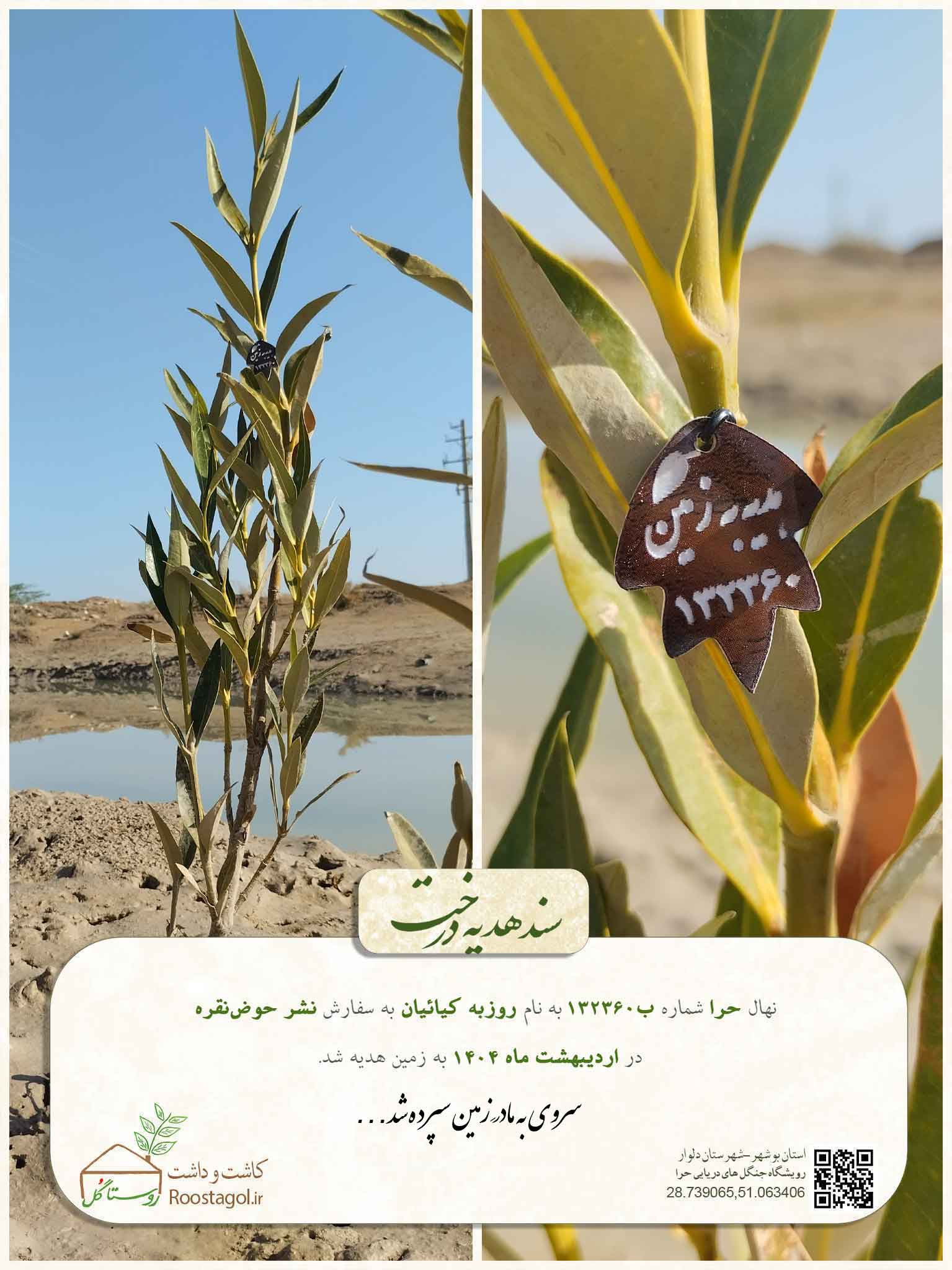 سفارش درخت