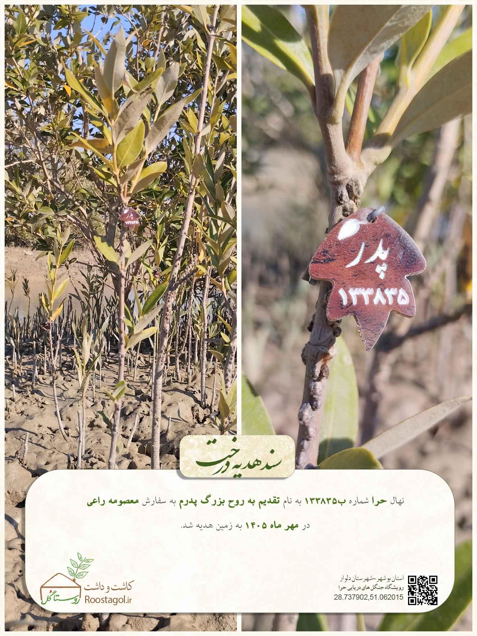 سفارش درخت