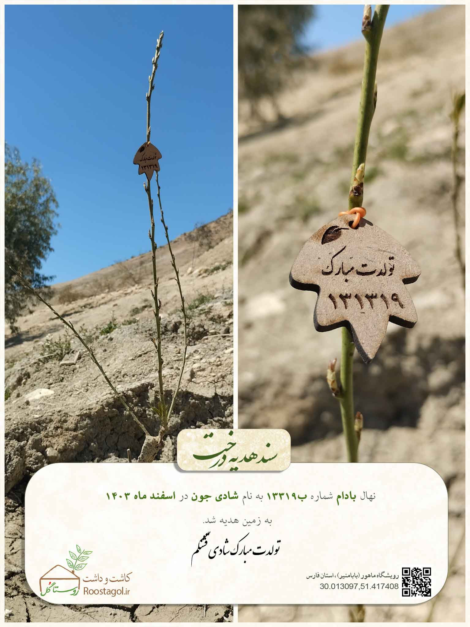 سفارش درخت