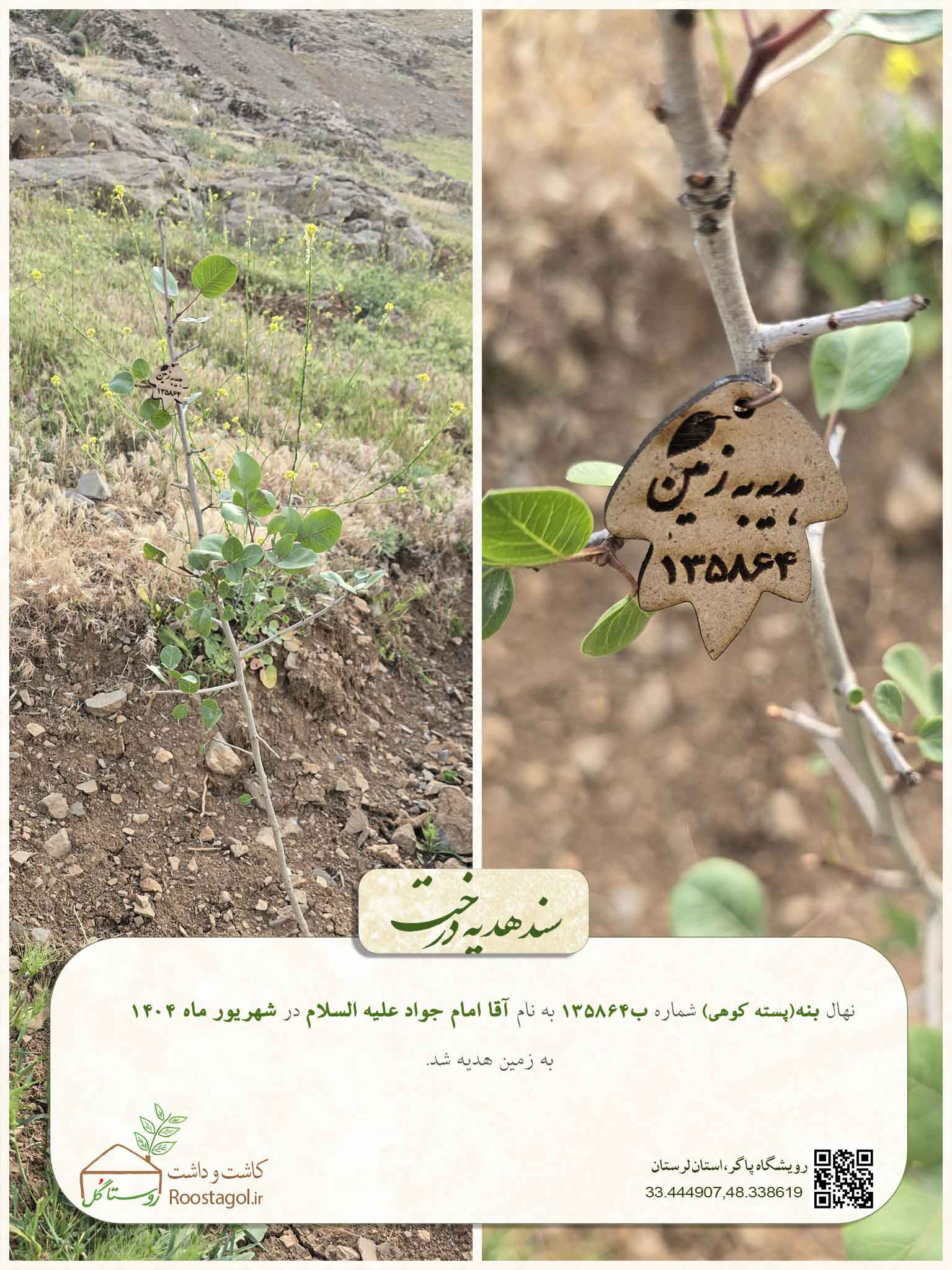 سفارش درخت