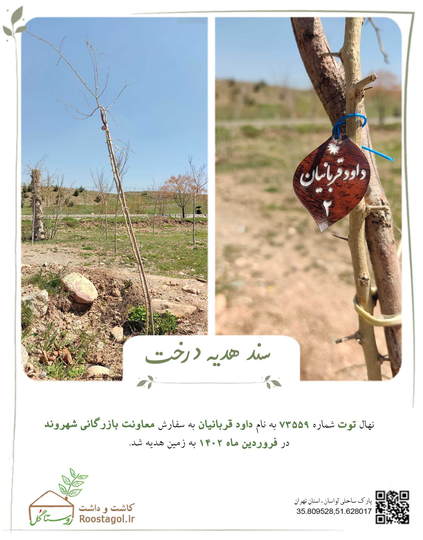 سفارش درخت