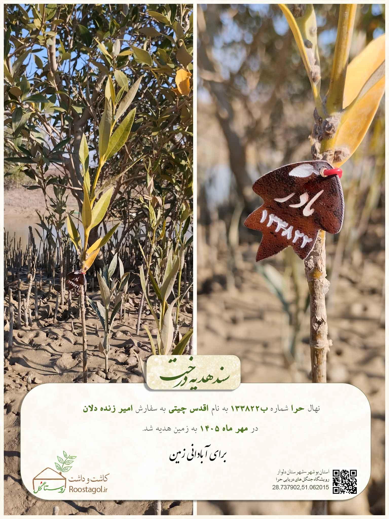 سفارش درخت