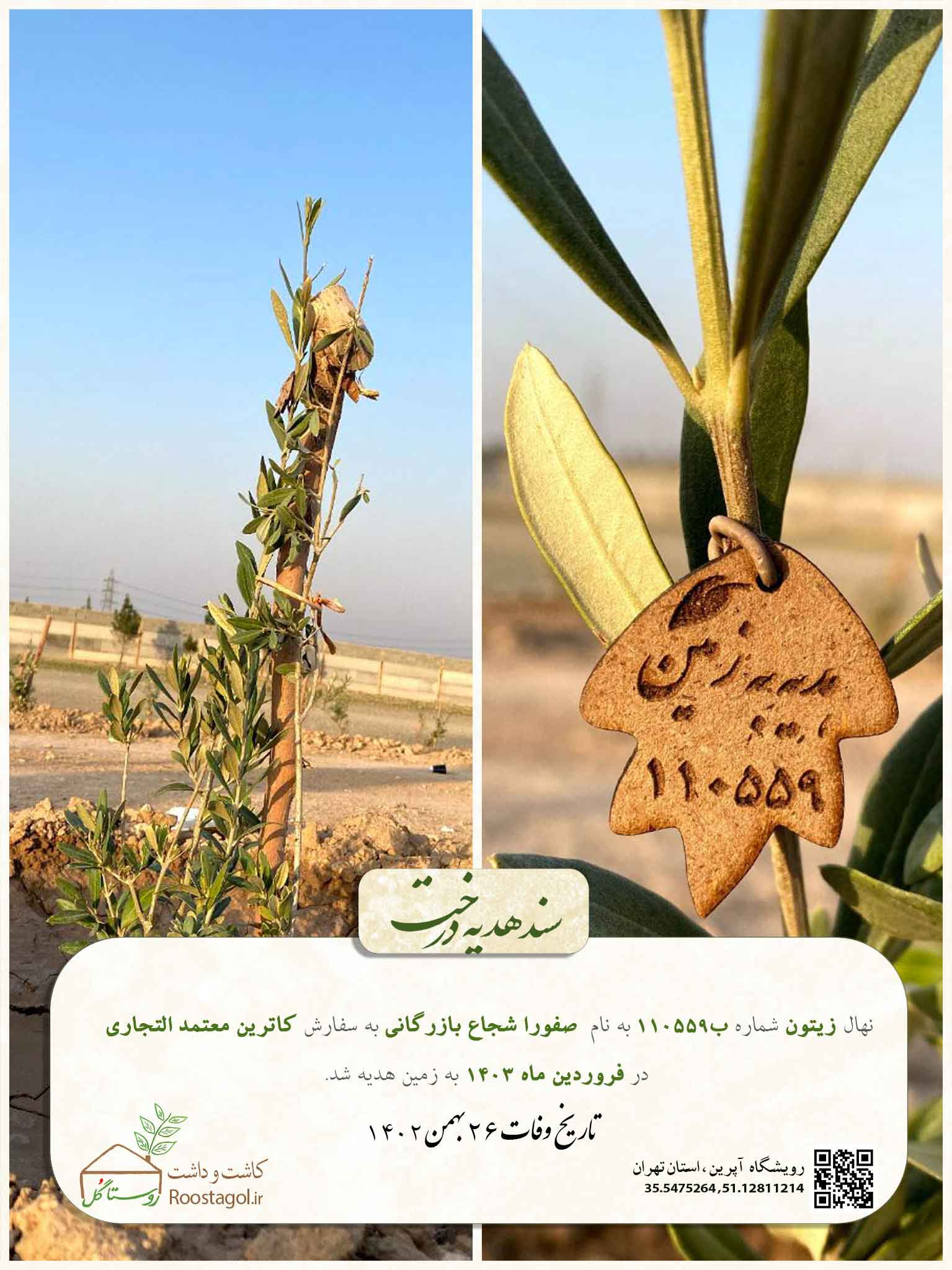 سفارش درخت