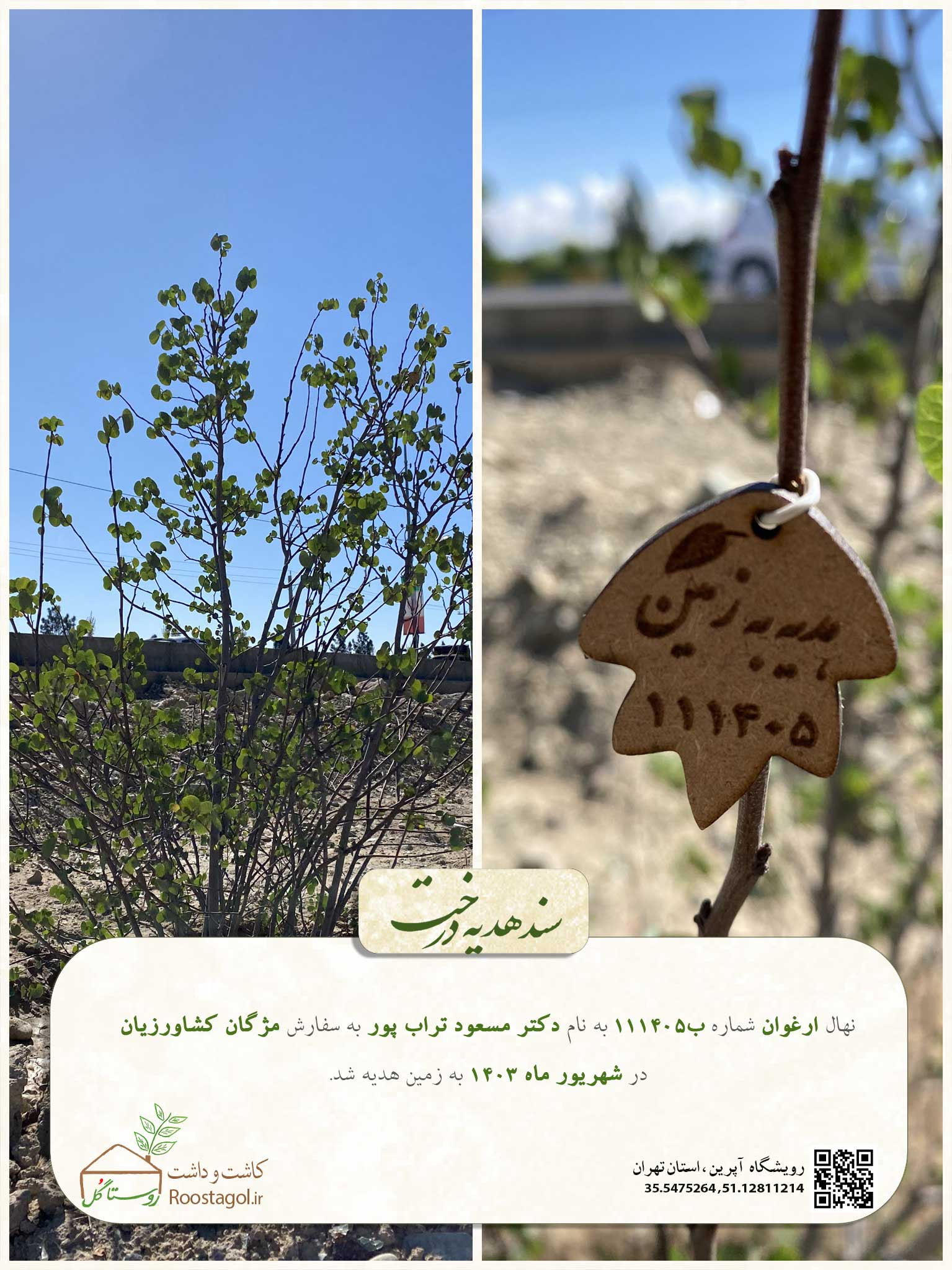 سفارش درخت