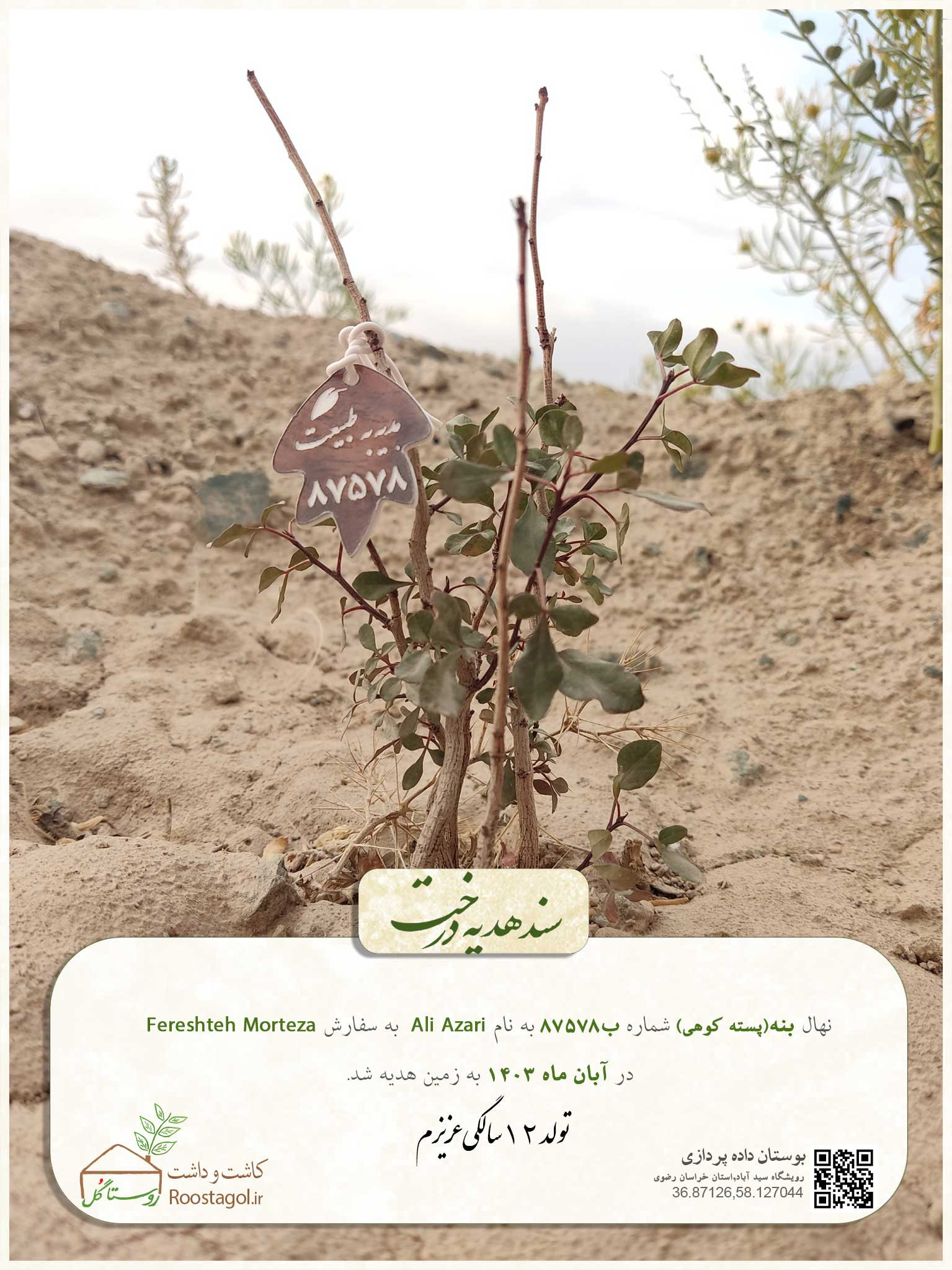 سفارش درخت