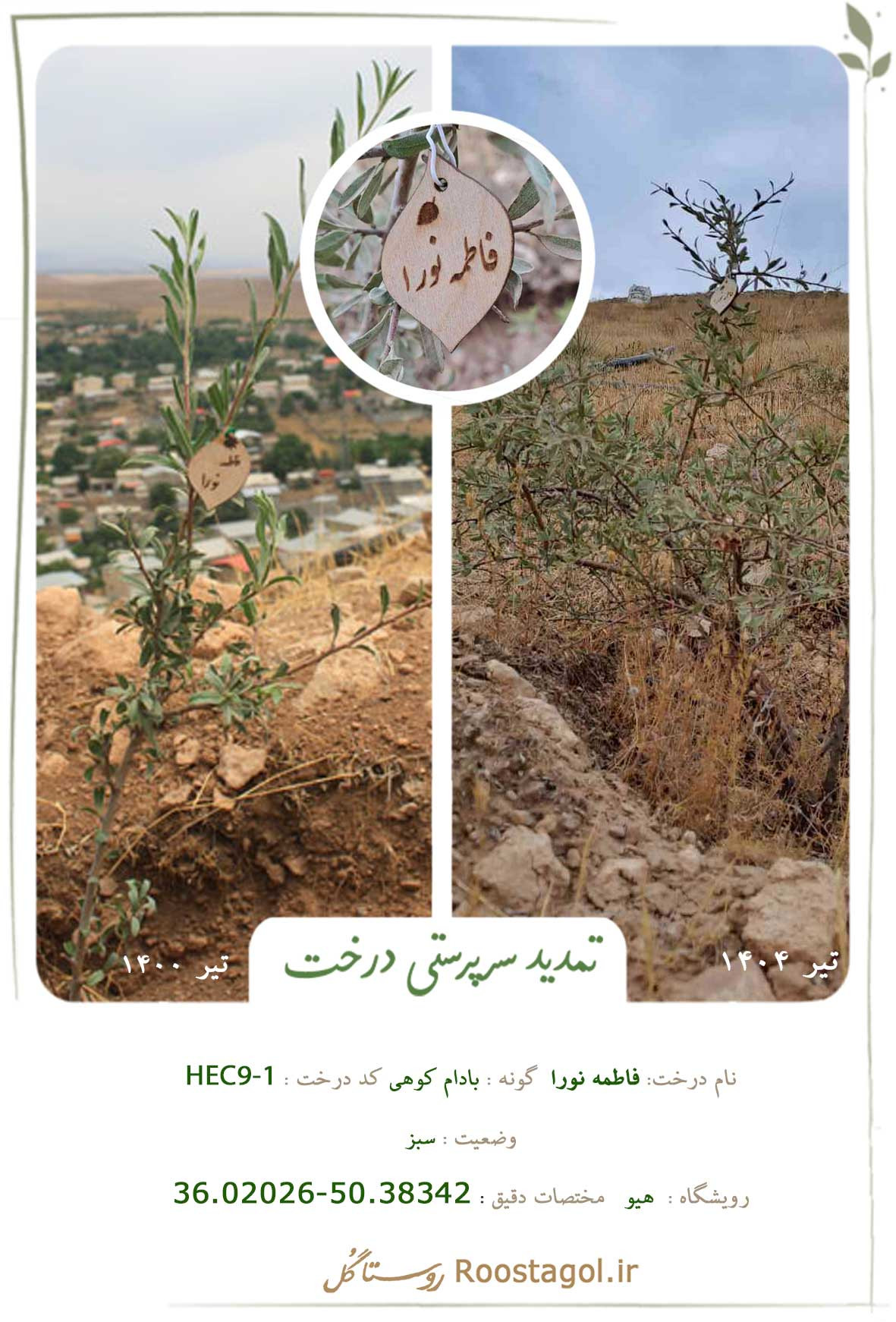 فاطمه نورا