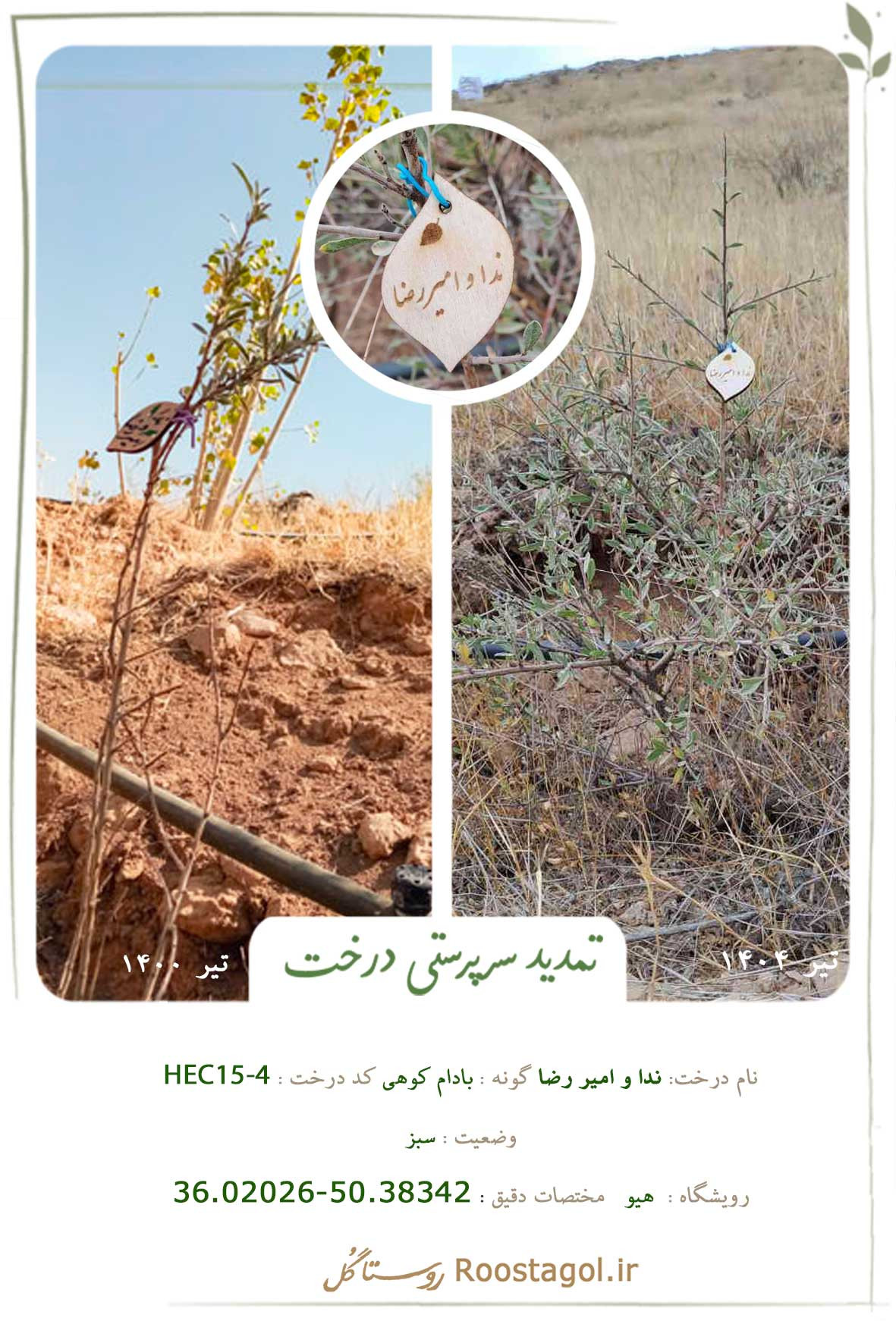 ندا و امیر رضا