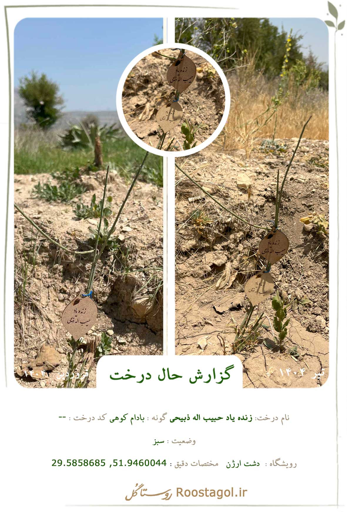 زنده یاد حبیب اله ذبیحی