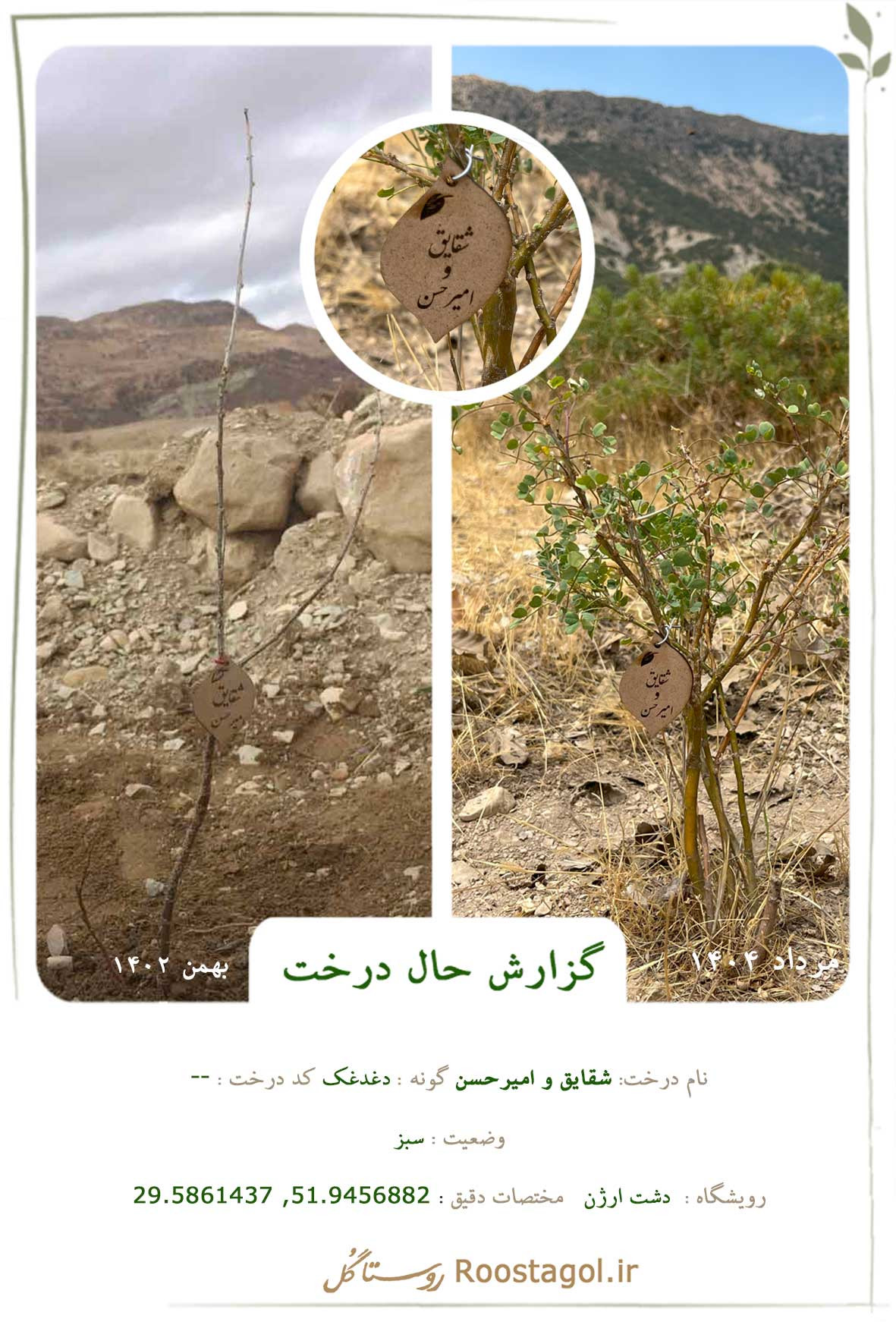 شقایق و امیرحسن