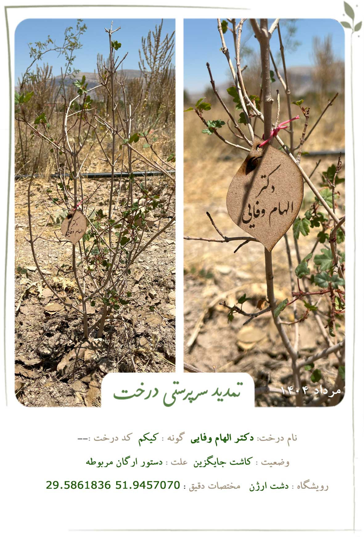 دکتر الهام وفایی