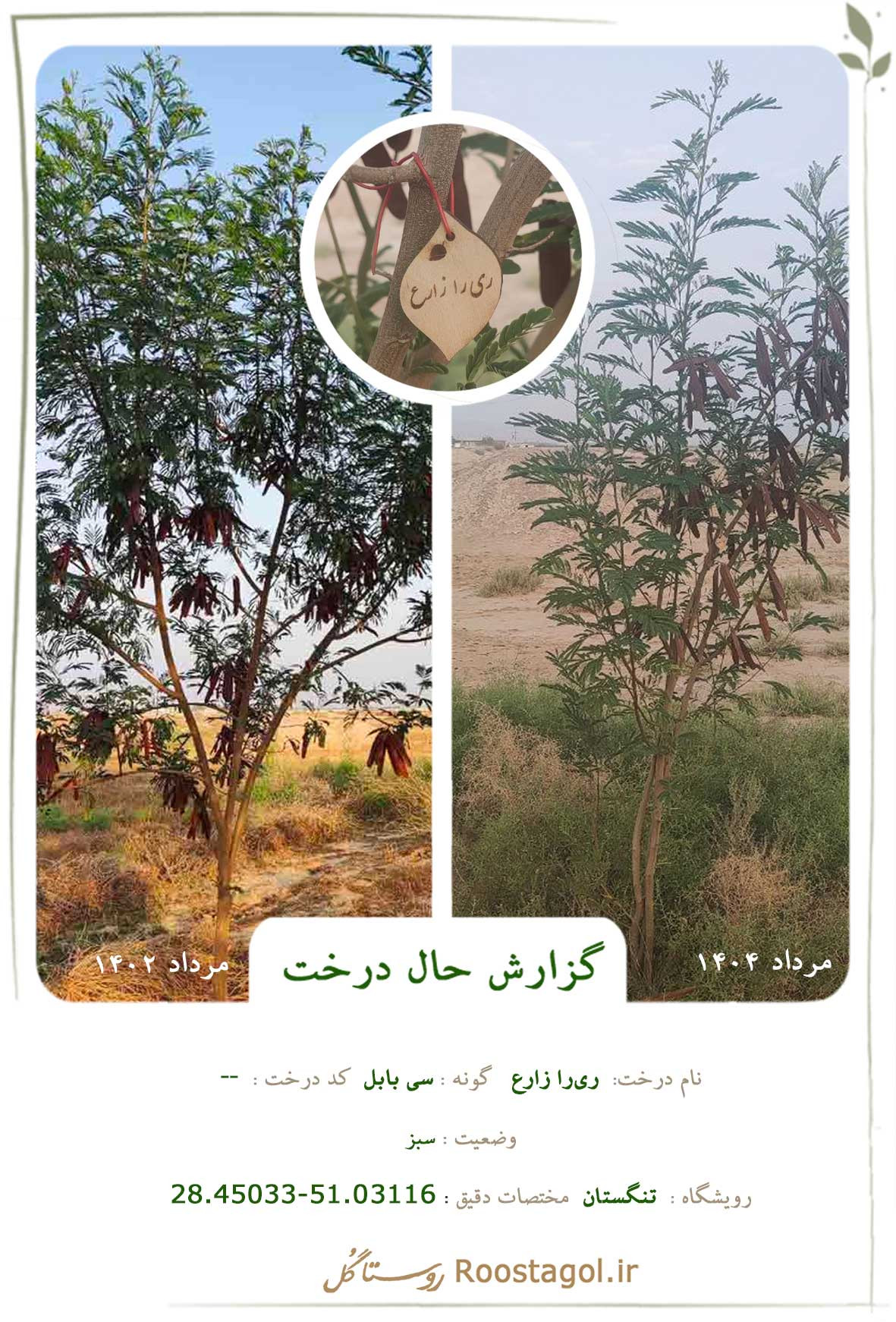 ری‌را زارع
