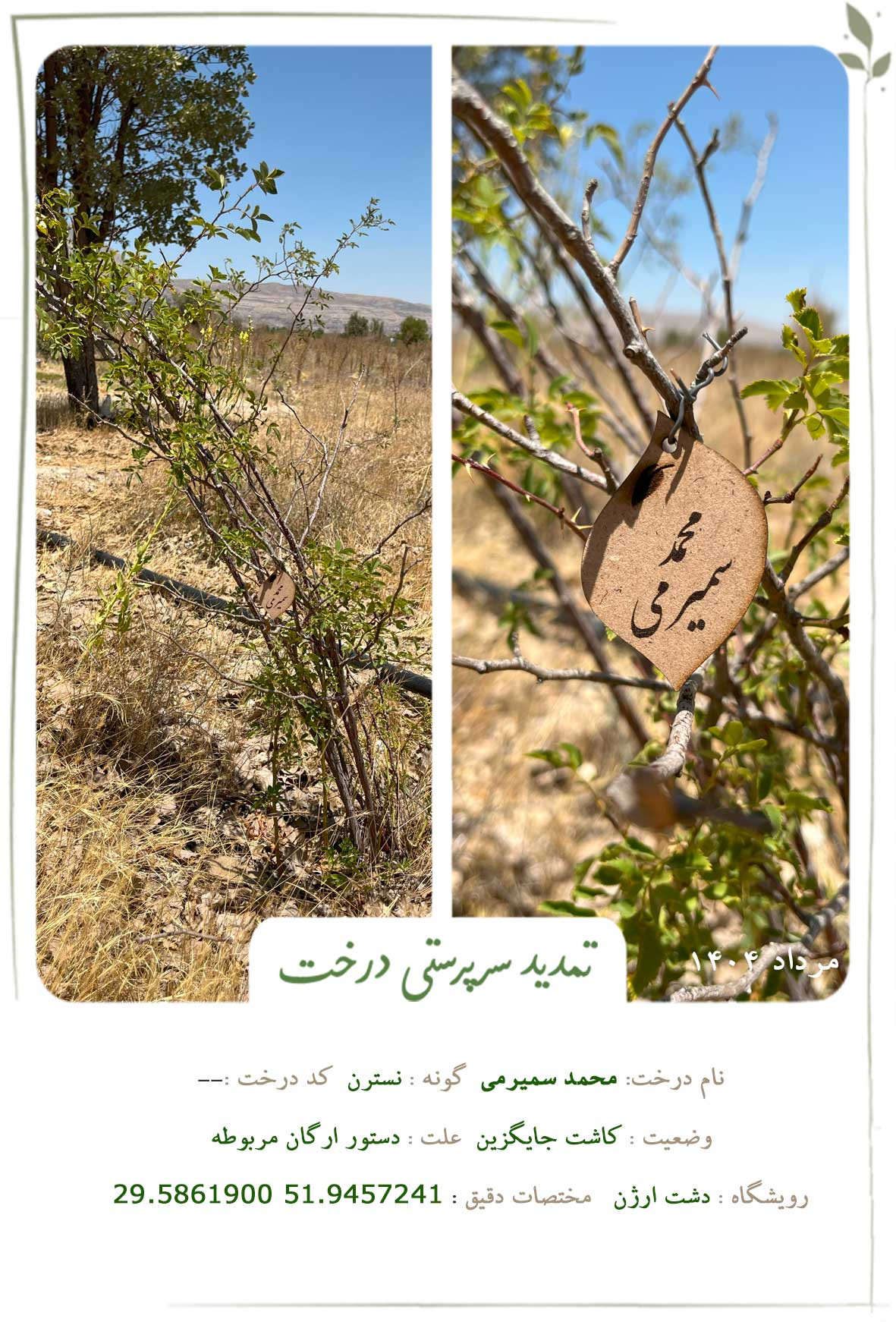 محمد سمیرمی