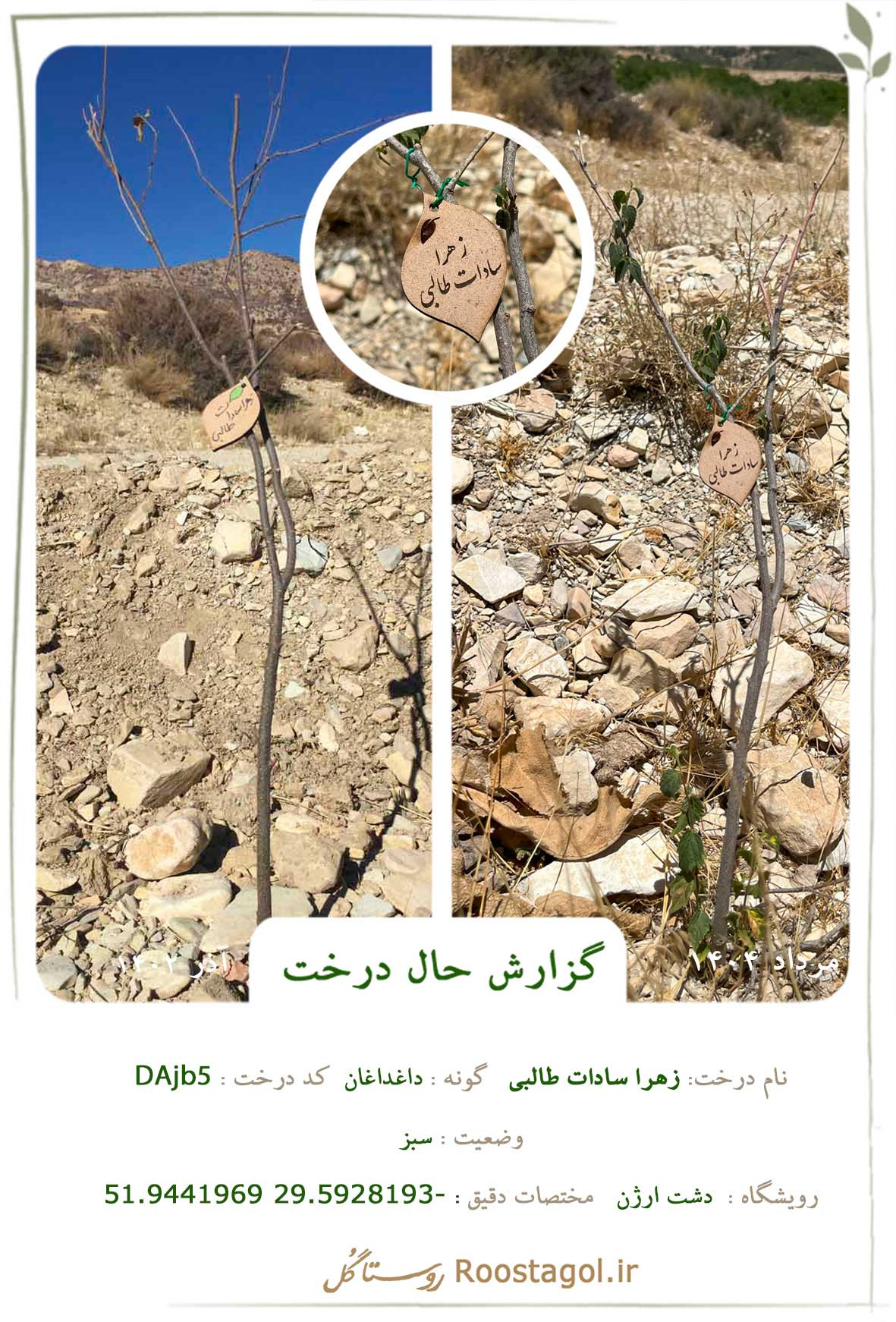 زهرا سادات طالبی