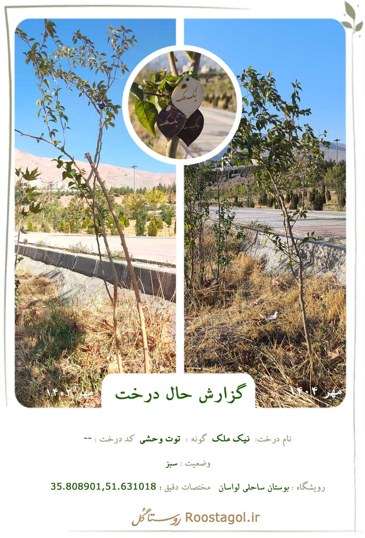 نیک ملک