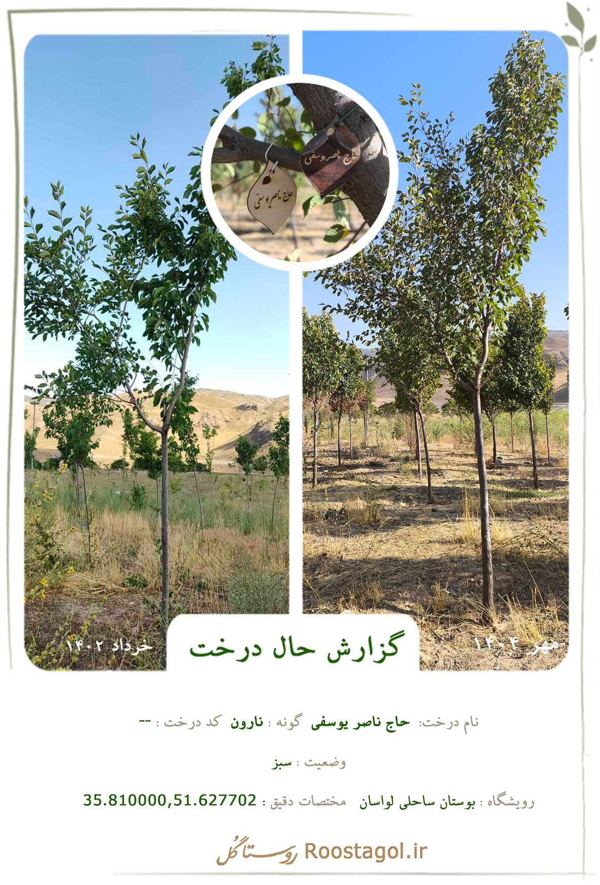 حاج ناصر یوسفی